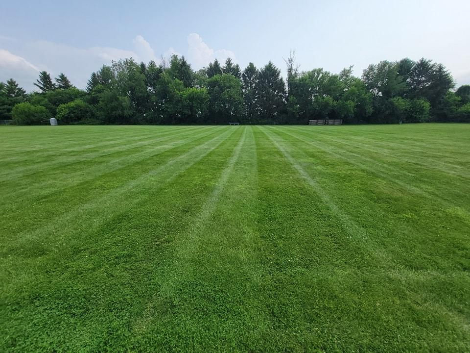 All Photos for Tingley's Green Land Services in Springfield, Ohio