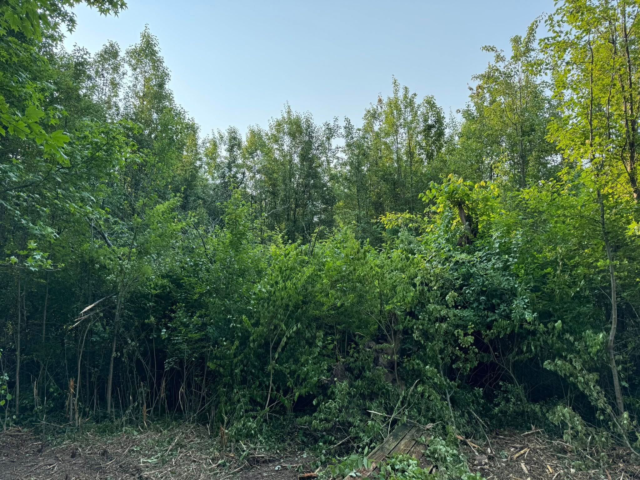  for Stevens Land Management LLC in Olympia, KY