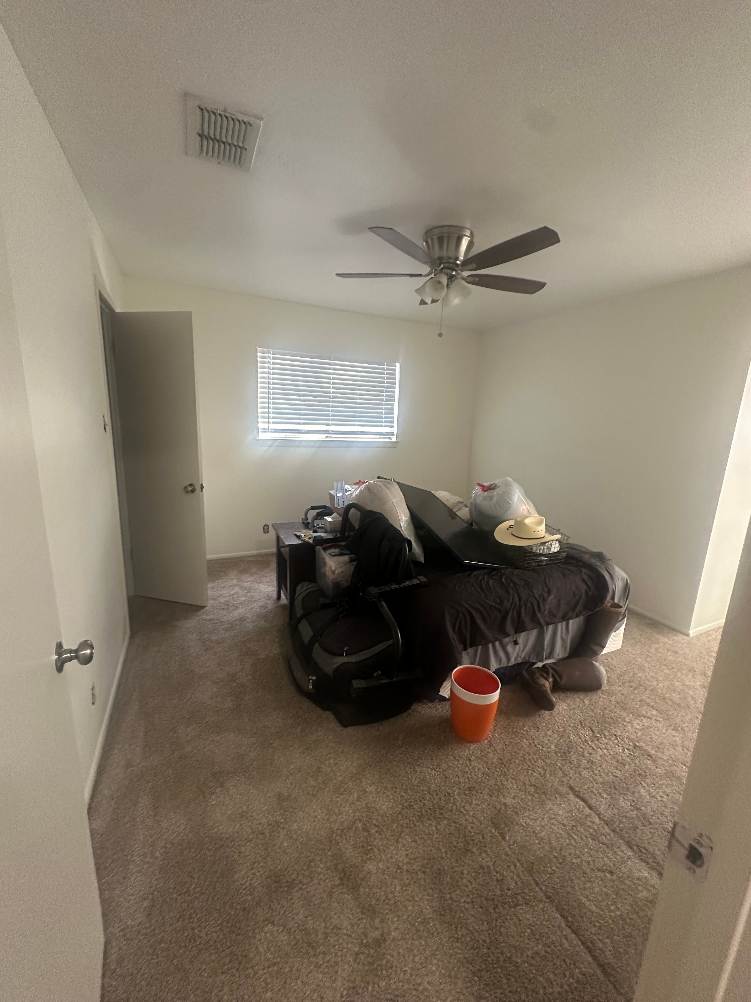  for GEOS Painting in New Braunfels, TX