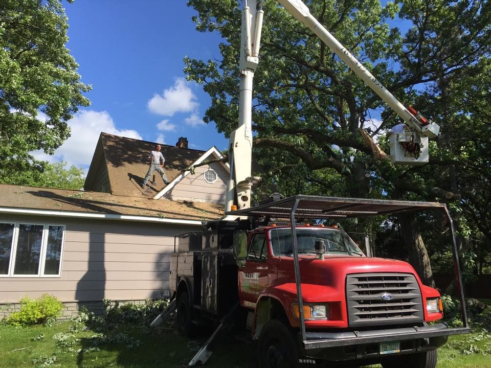 All Photos for Allstate Tree Service in Fridley, MN