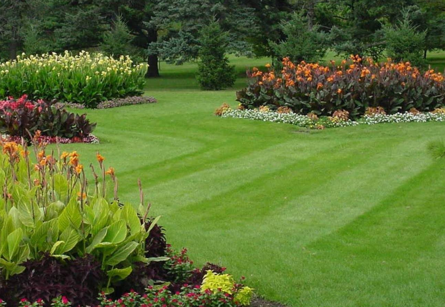  for Perfect Cut Lawn & Tree Care in Citrus Springs, FL