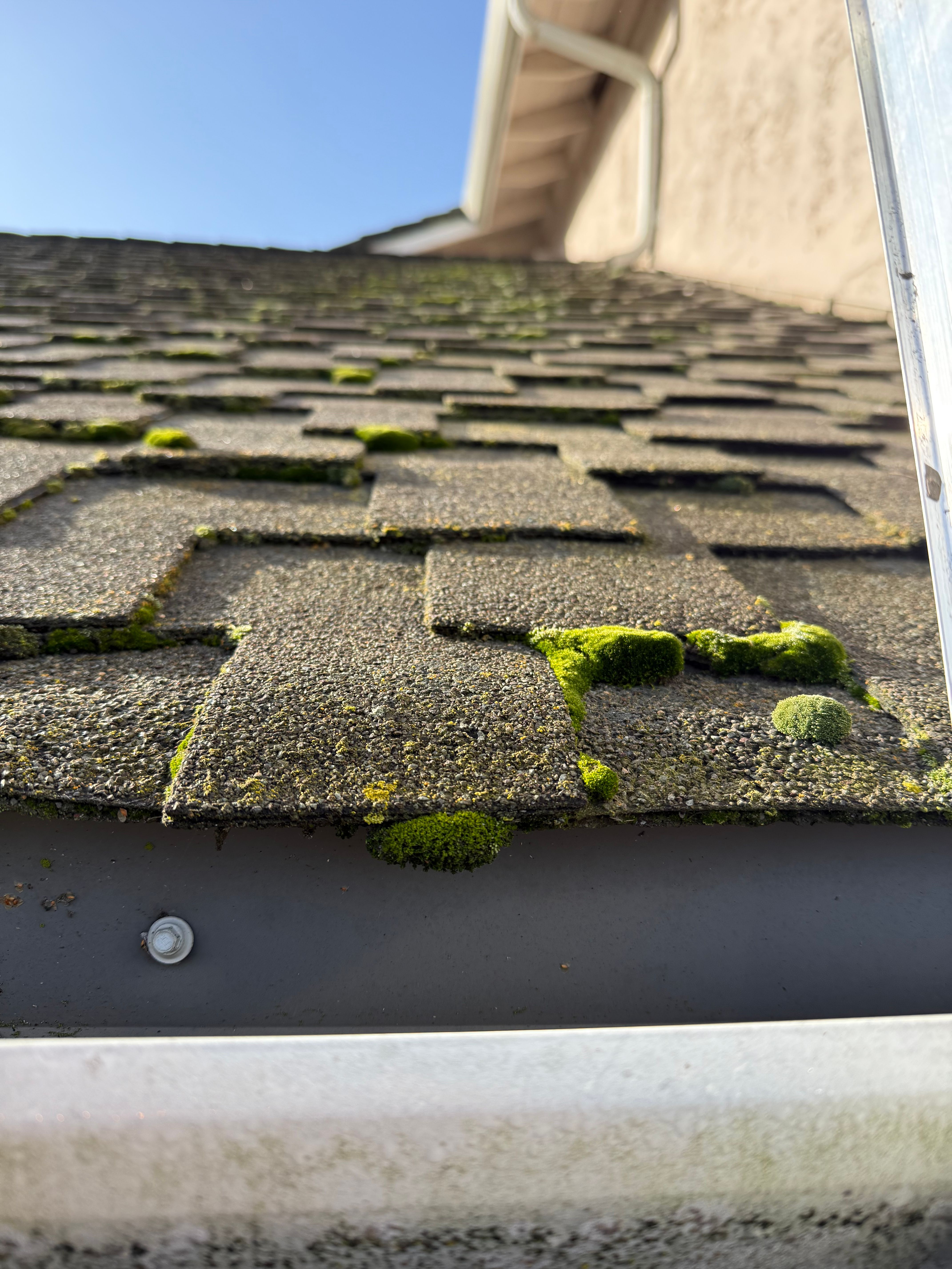  for GGG Home Services in San Jose, CA