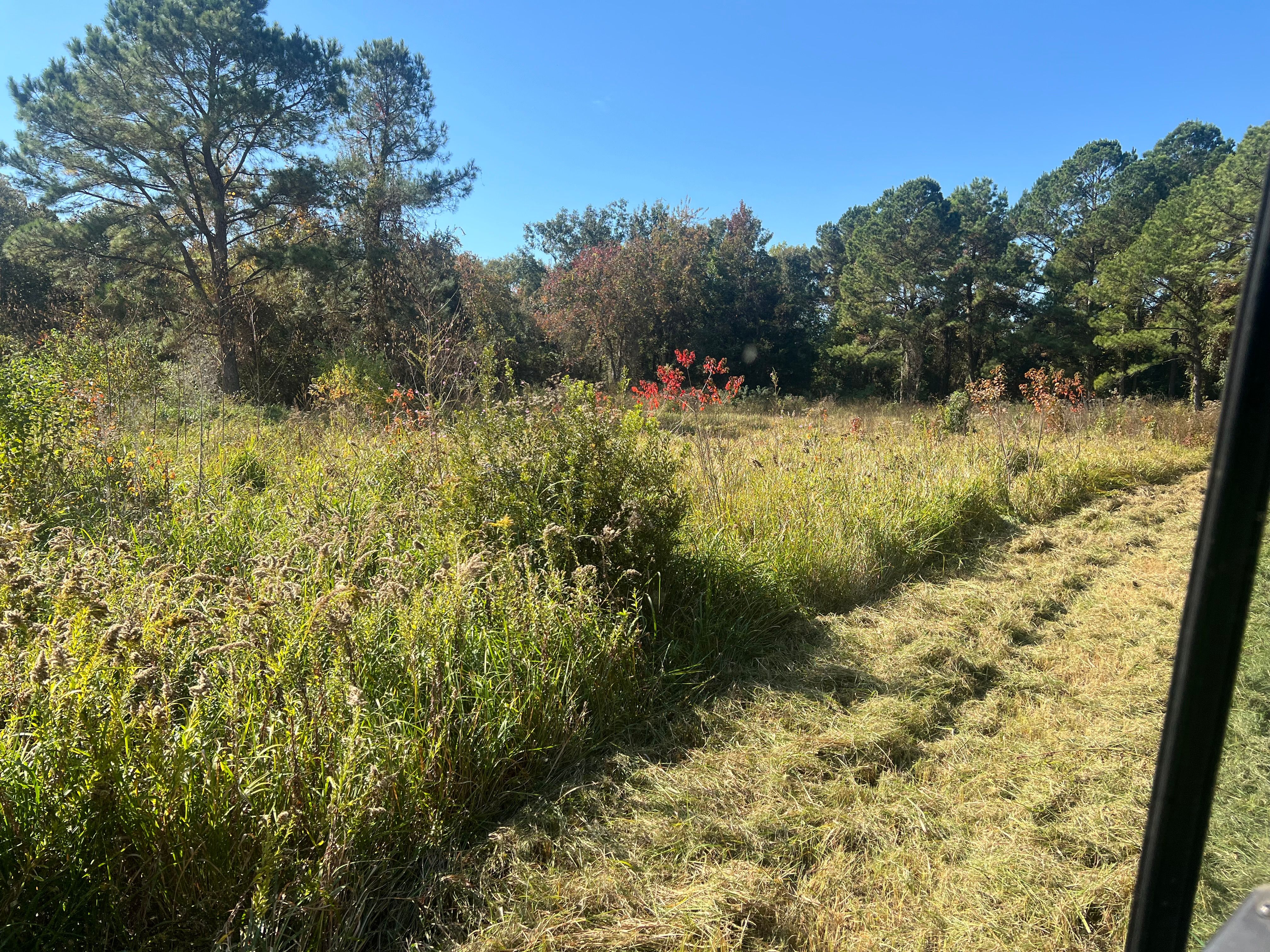  for Southern Venom Services in Daphne, AL