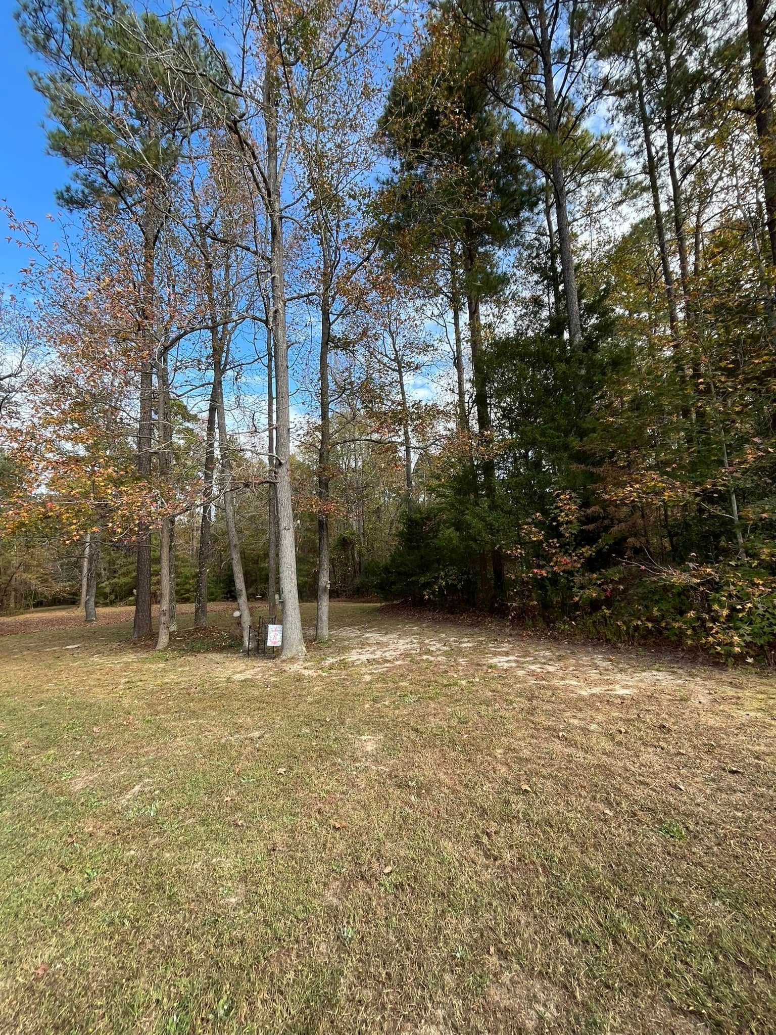 All Photos for C + C Landscaping in Chesterfield, VA