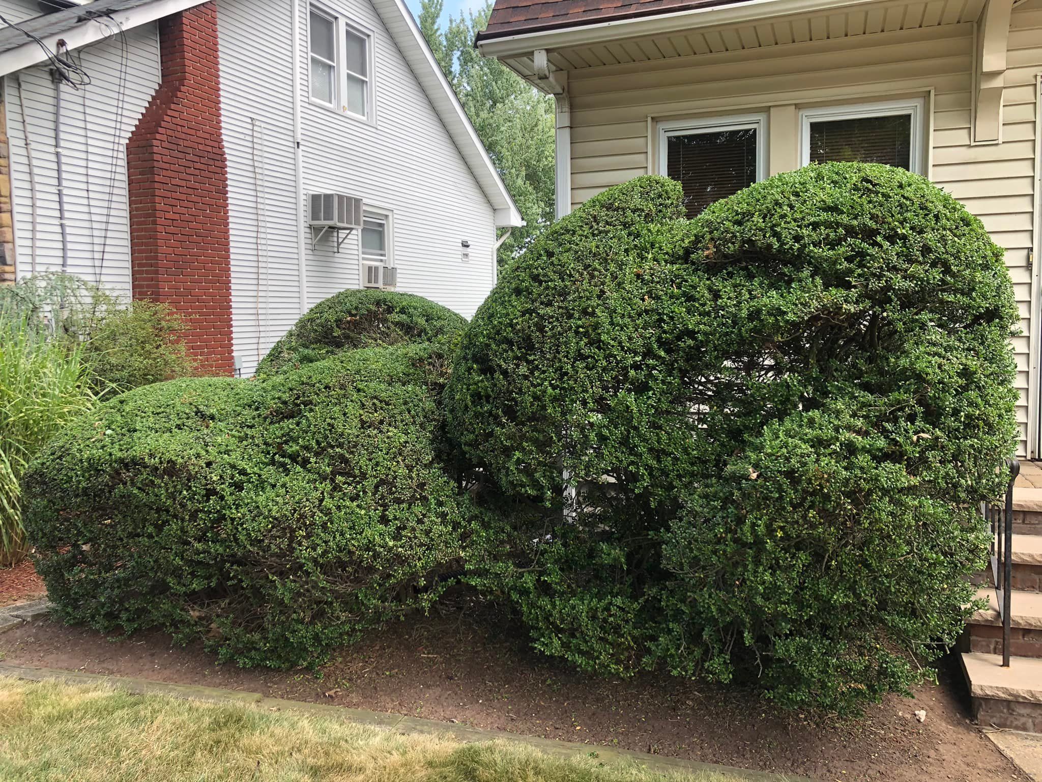 Lawn Care for Castro Landscaping in Orange, NJ