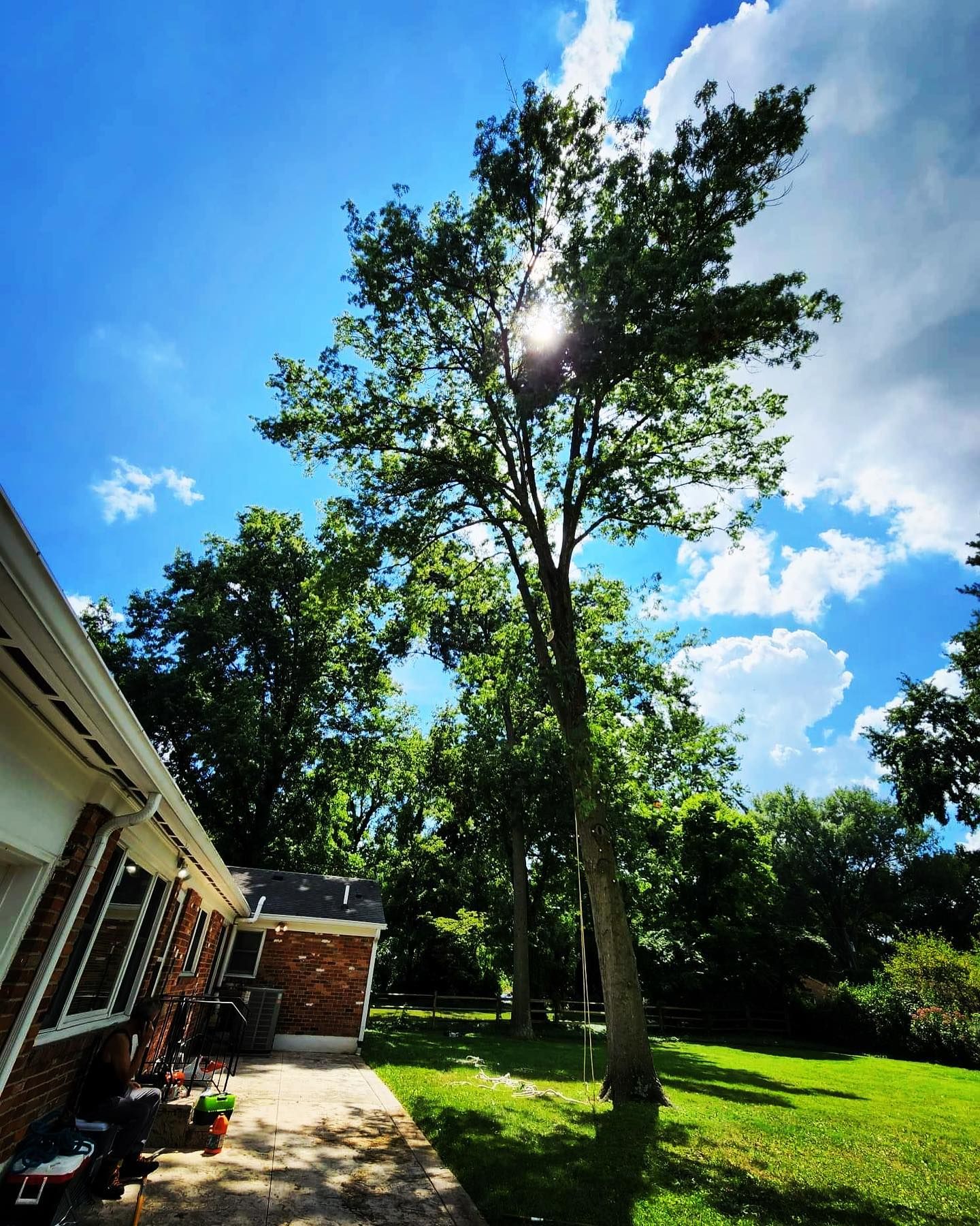  for Timber Ninja Service in Lexington, KY