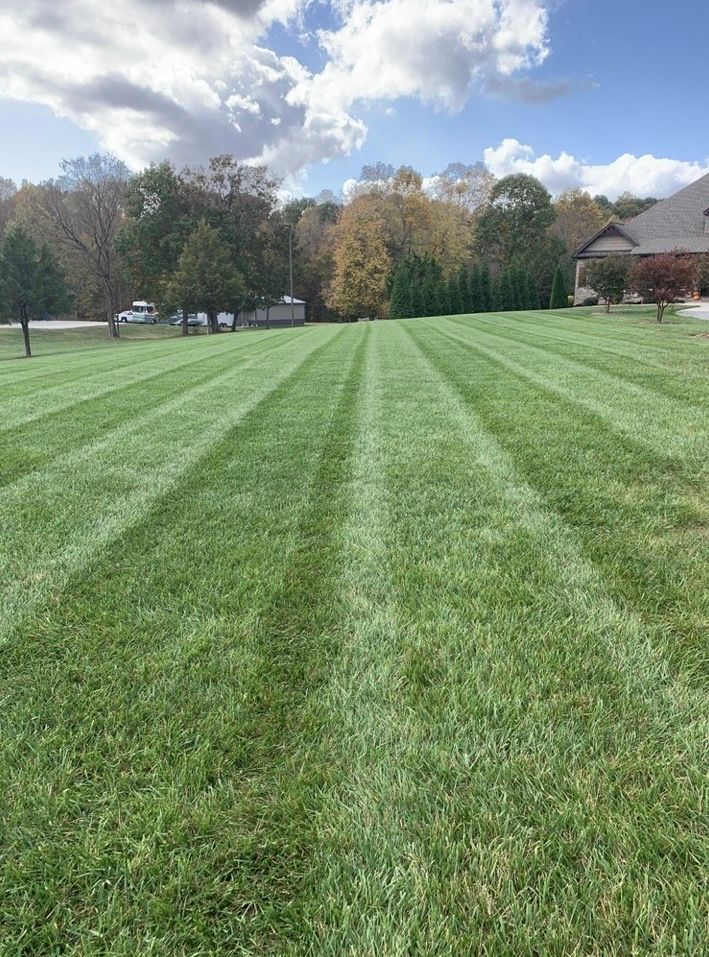  for Zotelo’s Lawncare LLC in Winston-Salem, NC