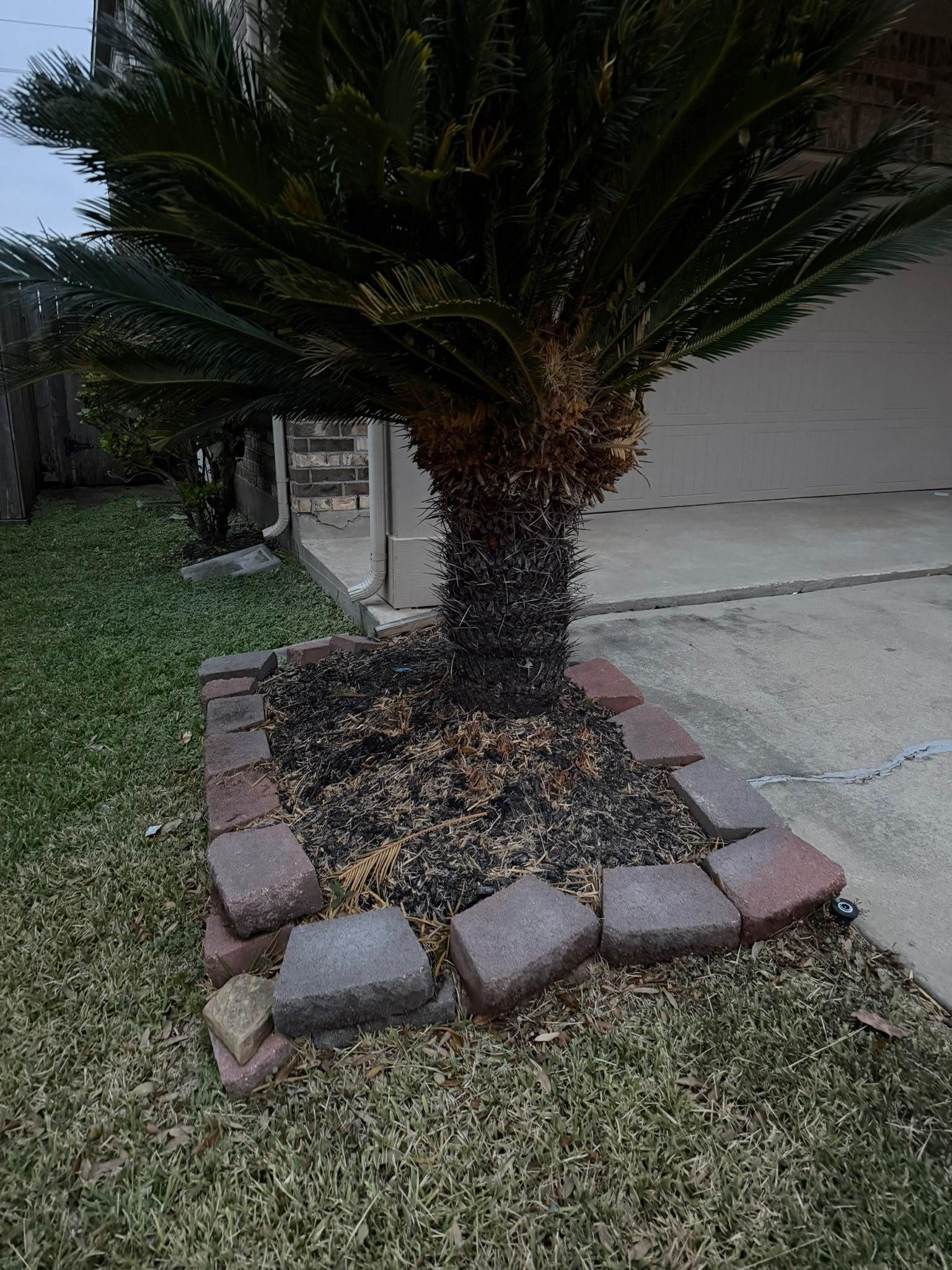  for Texas Curb N Borders in Houston, TX