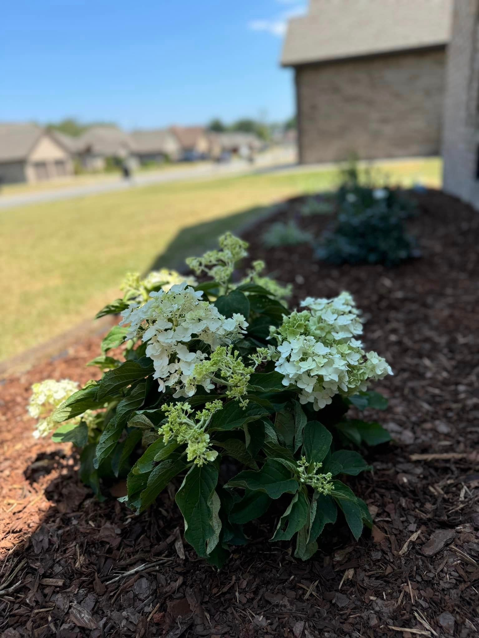  for Precision Lawn & Landscape in Florence,  AL