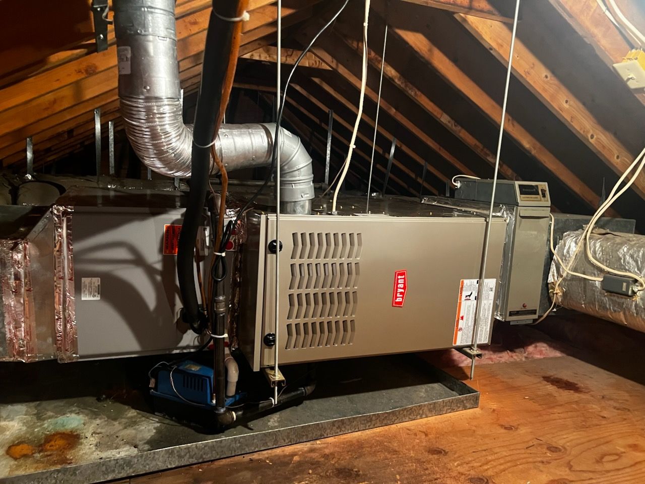  for Biddle's Services LLC in Edgewater, MD