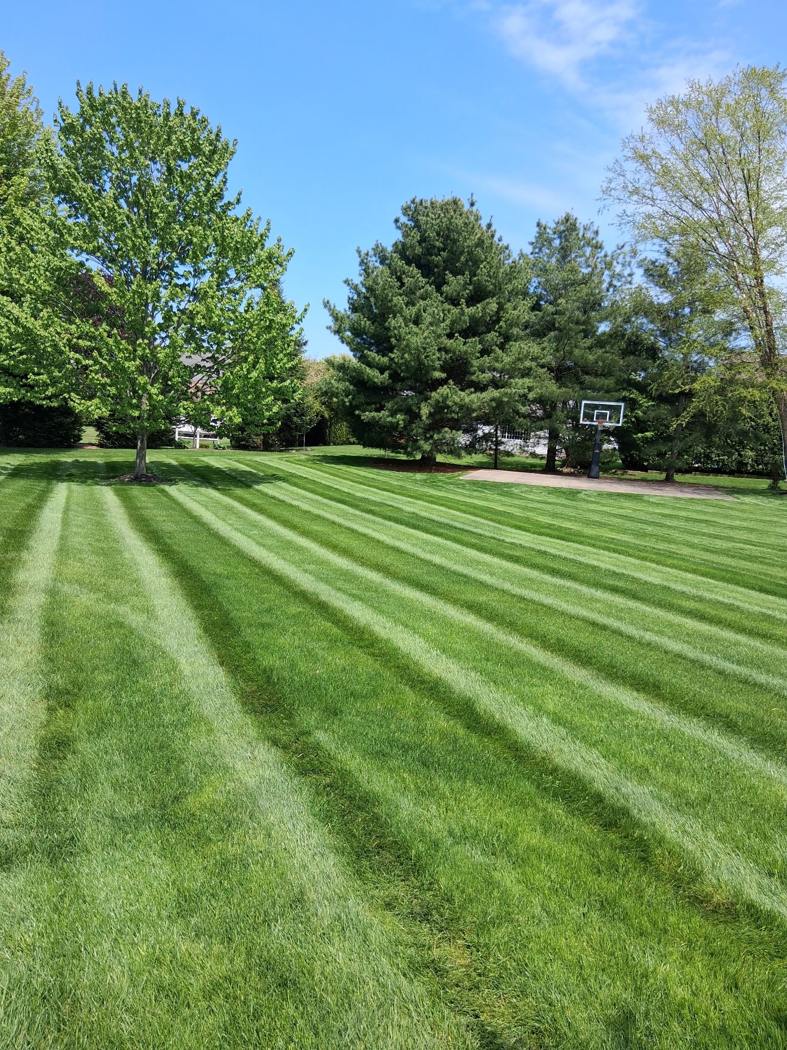  for A & A Lawn Care and Outdoor Services in Fairview, PA