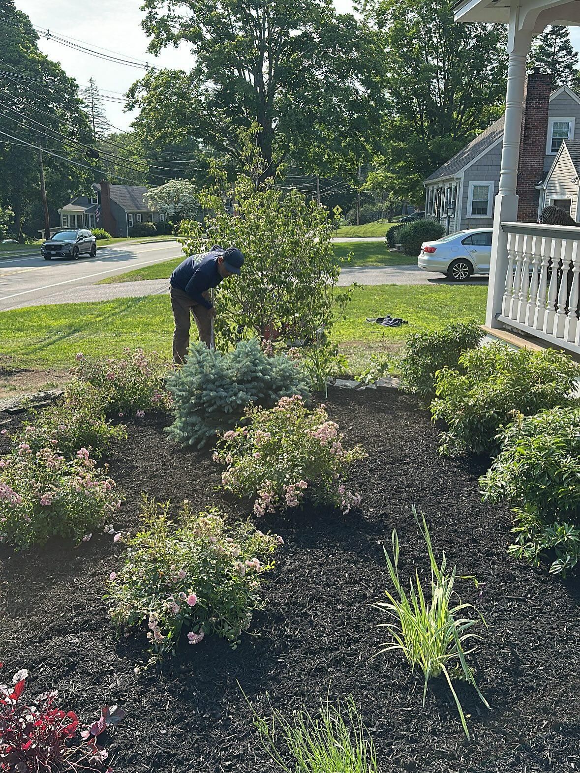  for Picano Landscaping in Reading, MA