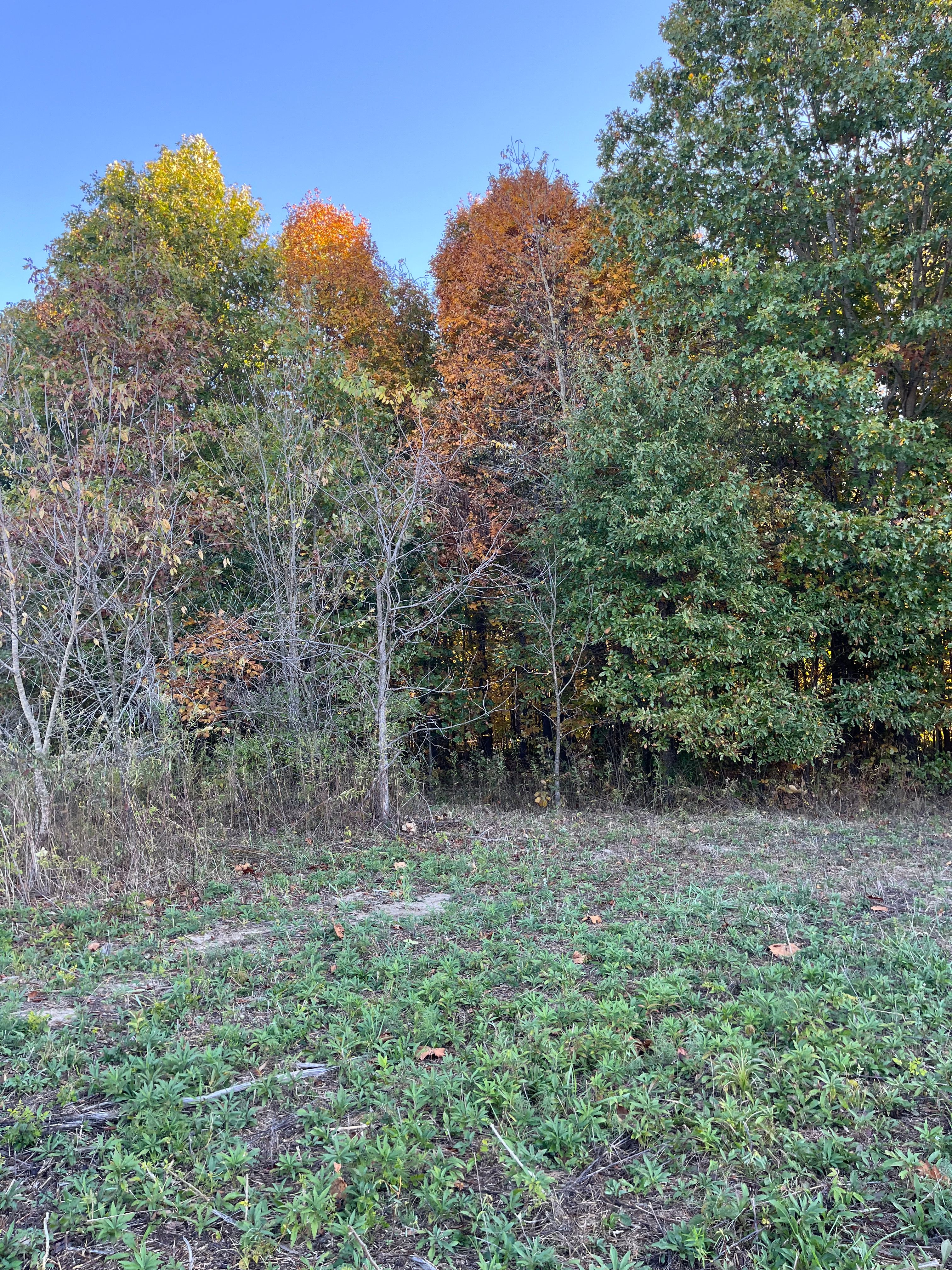  for KG Ground Development and Transportation in Newton, IL