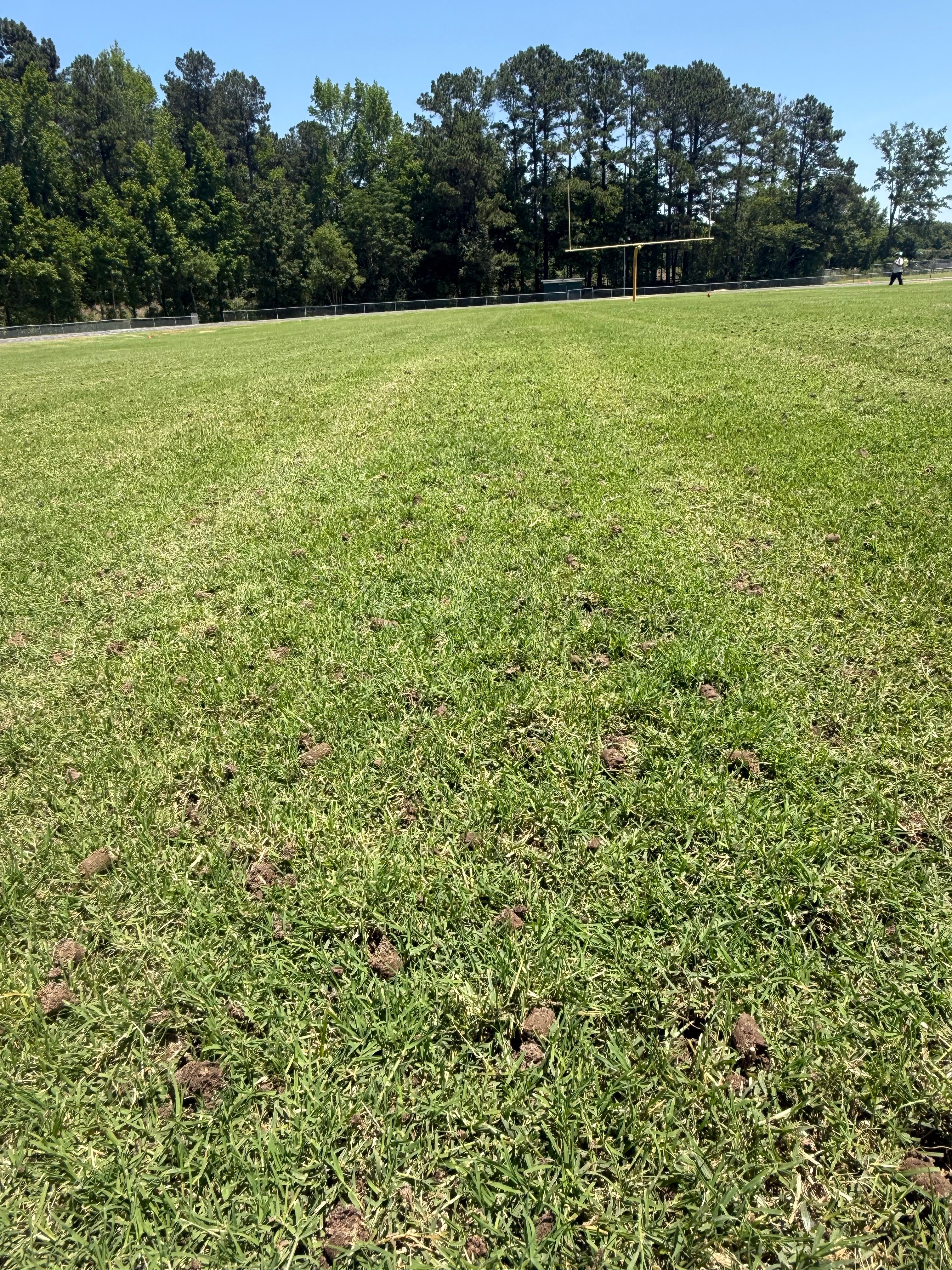  for Turf's Up!  in Lumberton, NC