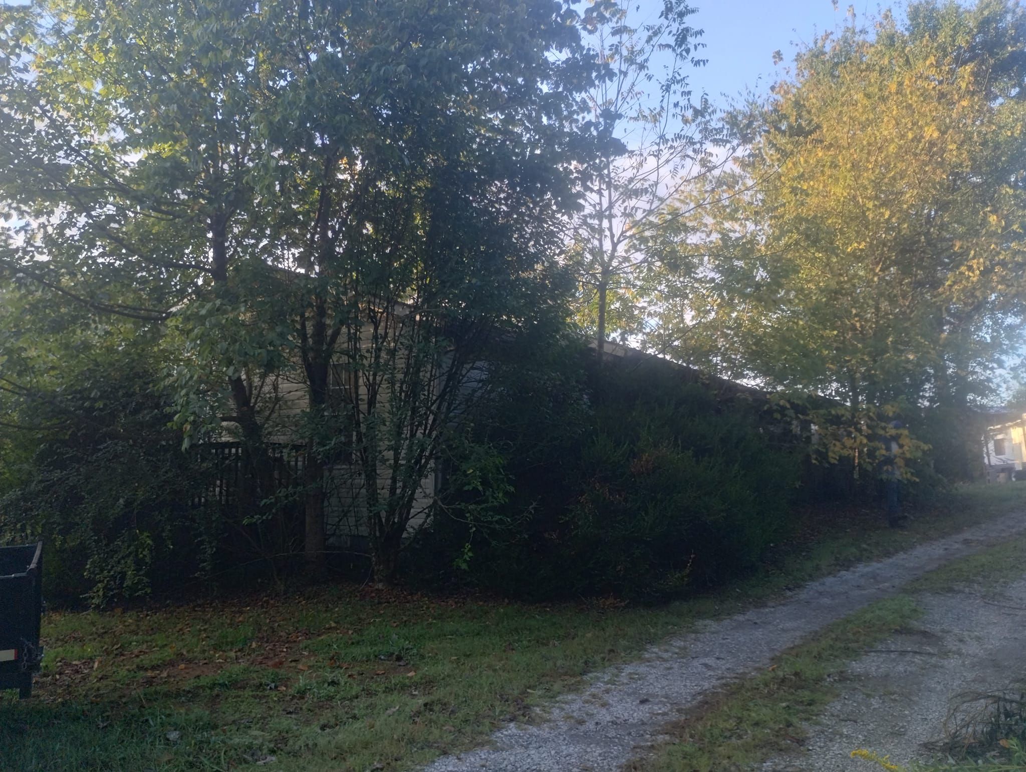  for Scott's Tree Service in Athens, TN