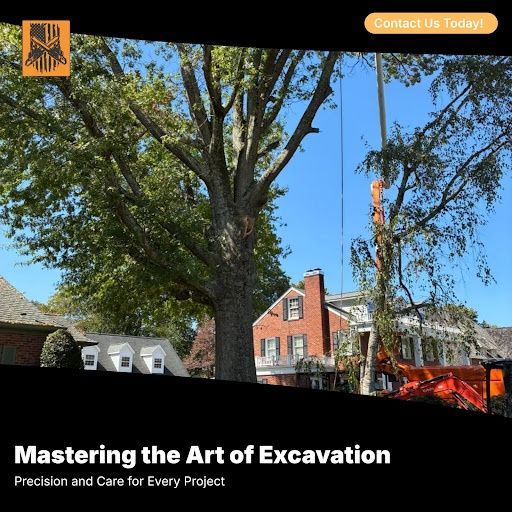  for Brocks Tree Service LLC in Rogersville, TN