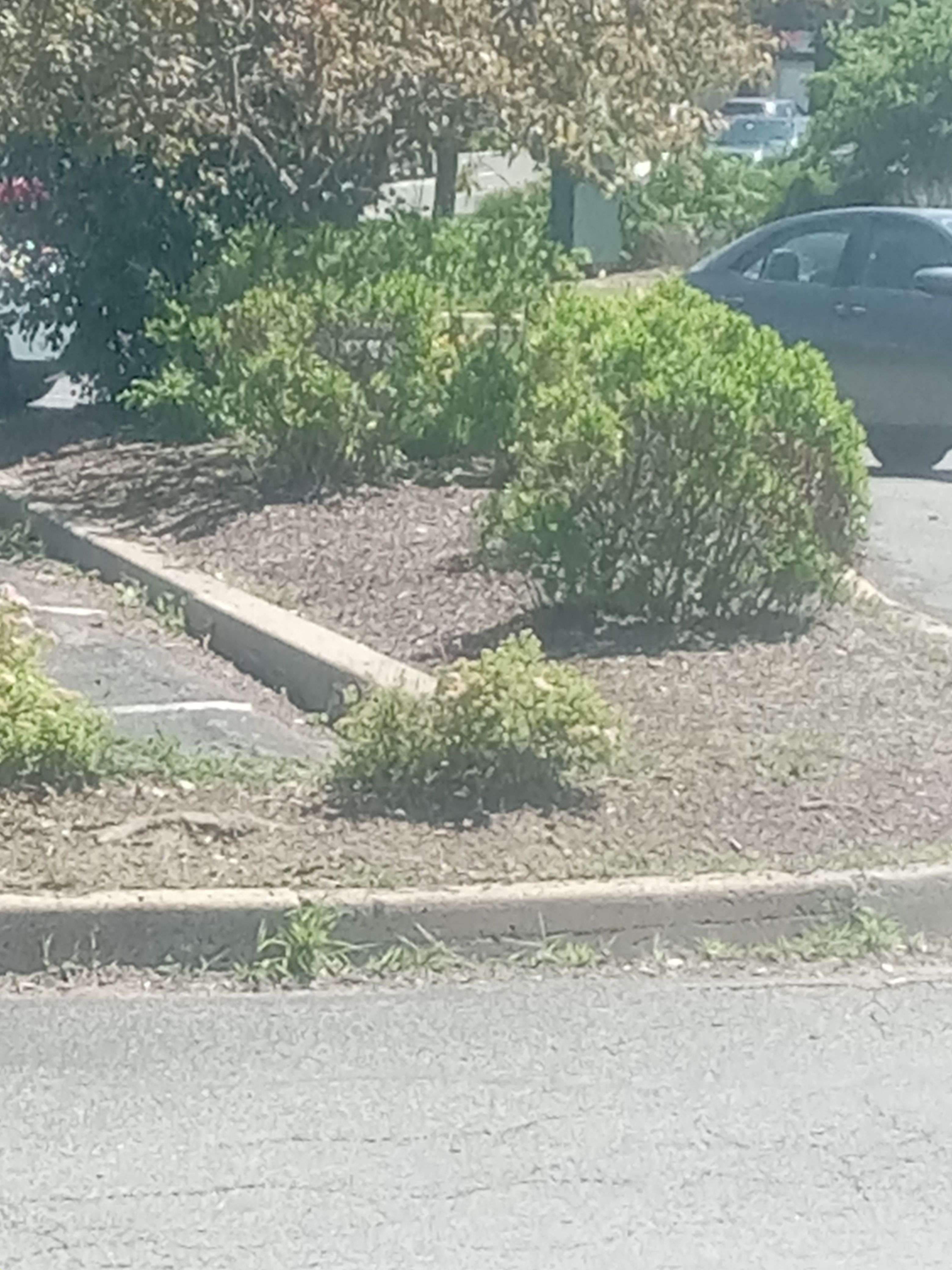  for K Brown's Property Maintenance in Pittsfield, MA