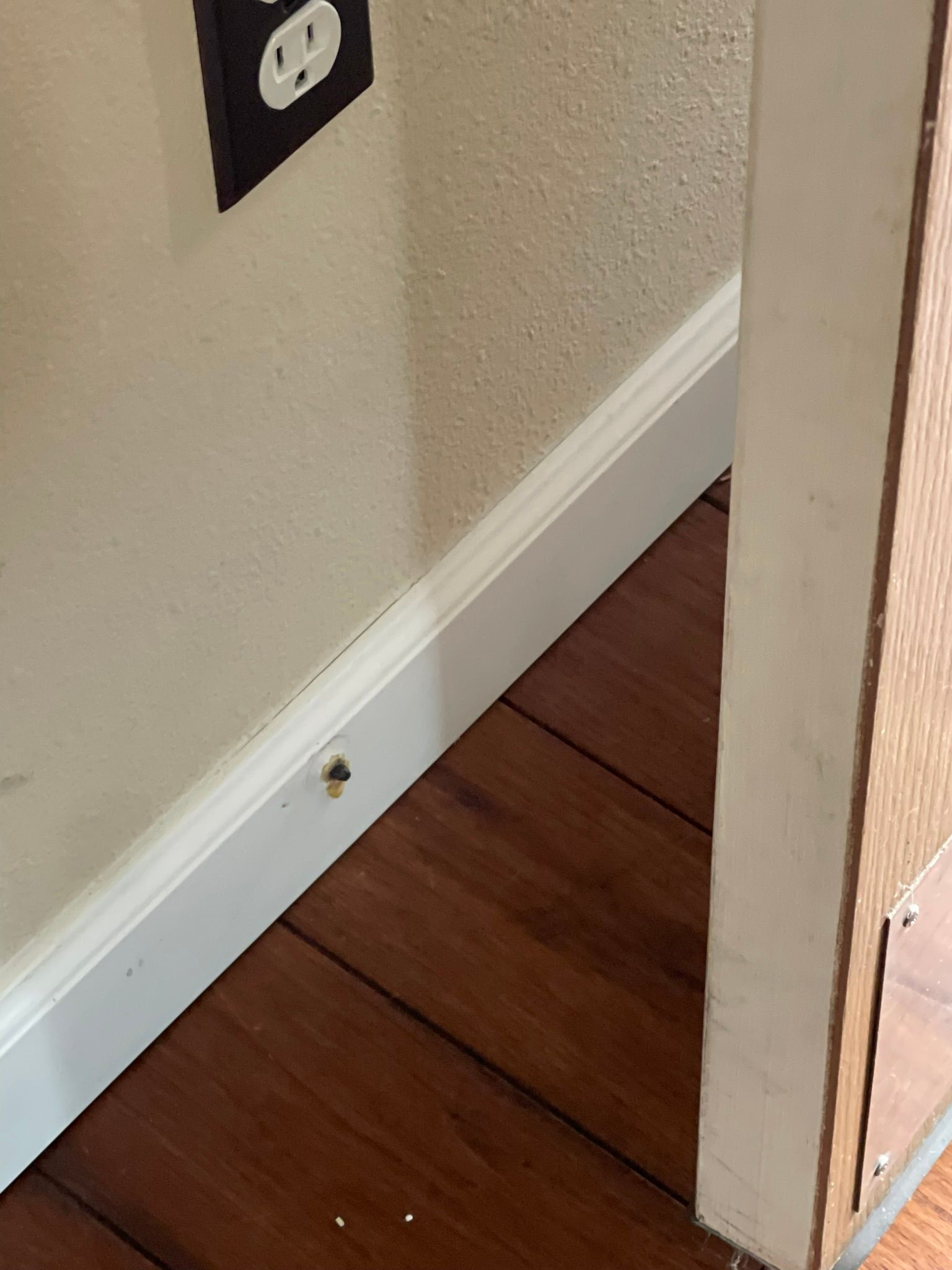  for Tony's Remodeling & Painting in Renton, WA