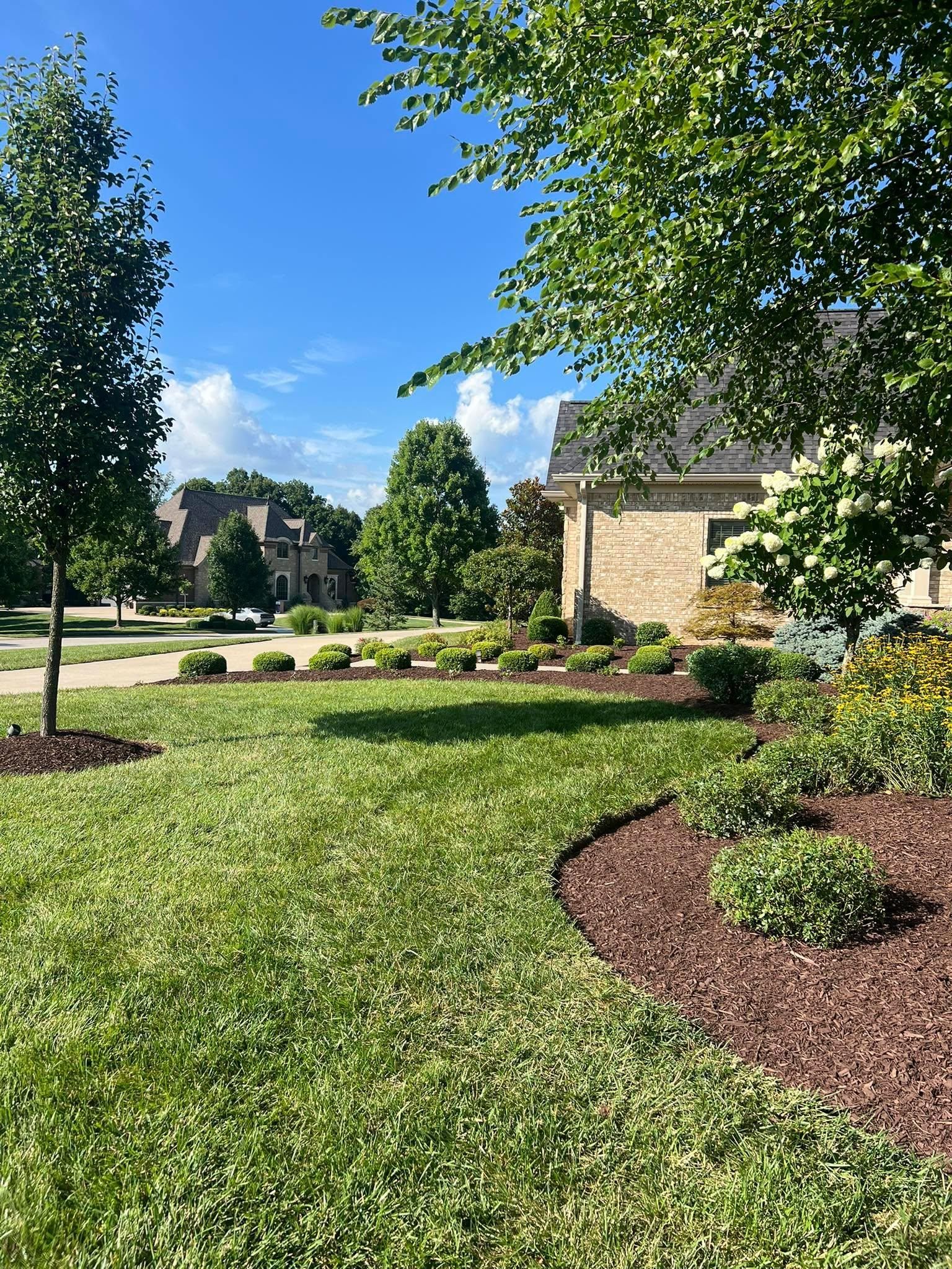  for Full Service Landscaping in Louisville, KY