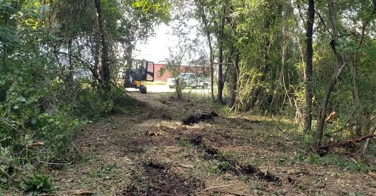 All Photos for TJ Farm and Land Management in Loris, SC