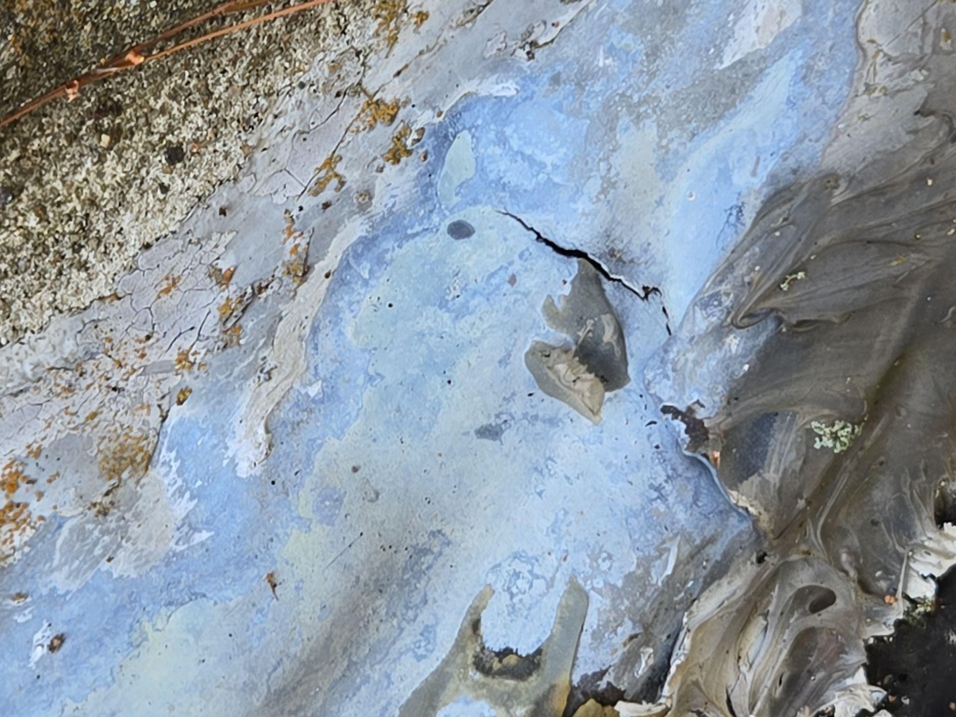  for Jalbert Contracting LLC in Alton, NH