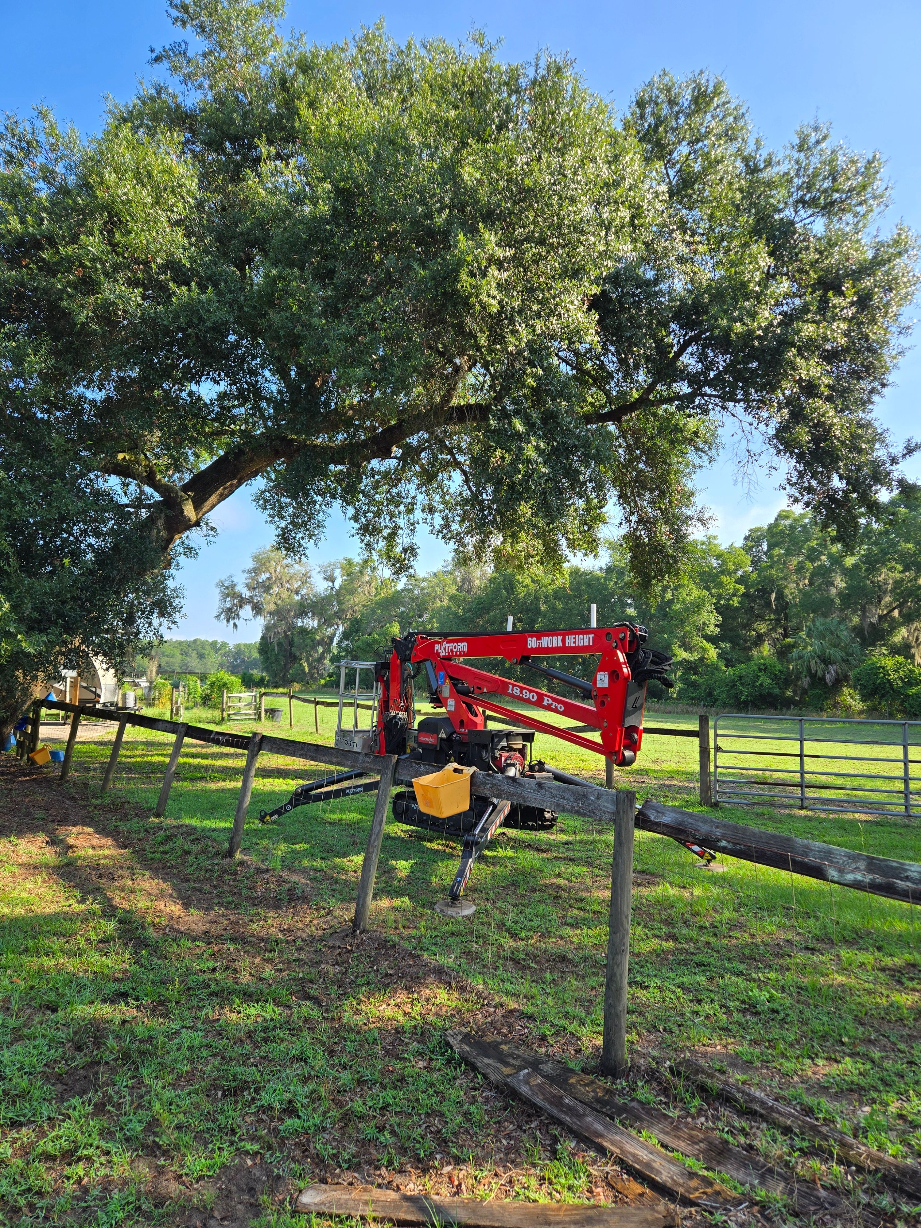 All Photos for Near Me Tree Service, Inc. in DeLand, FL