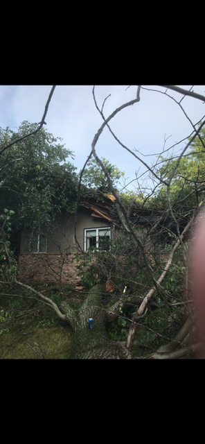 All Photos for Allstate Tree Service and Crane in Spring Lake Park, MN