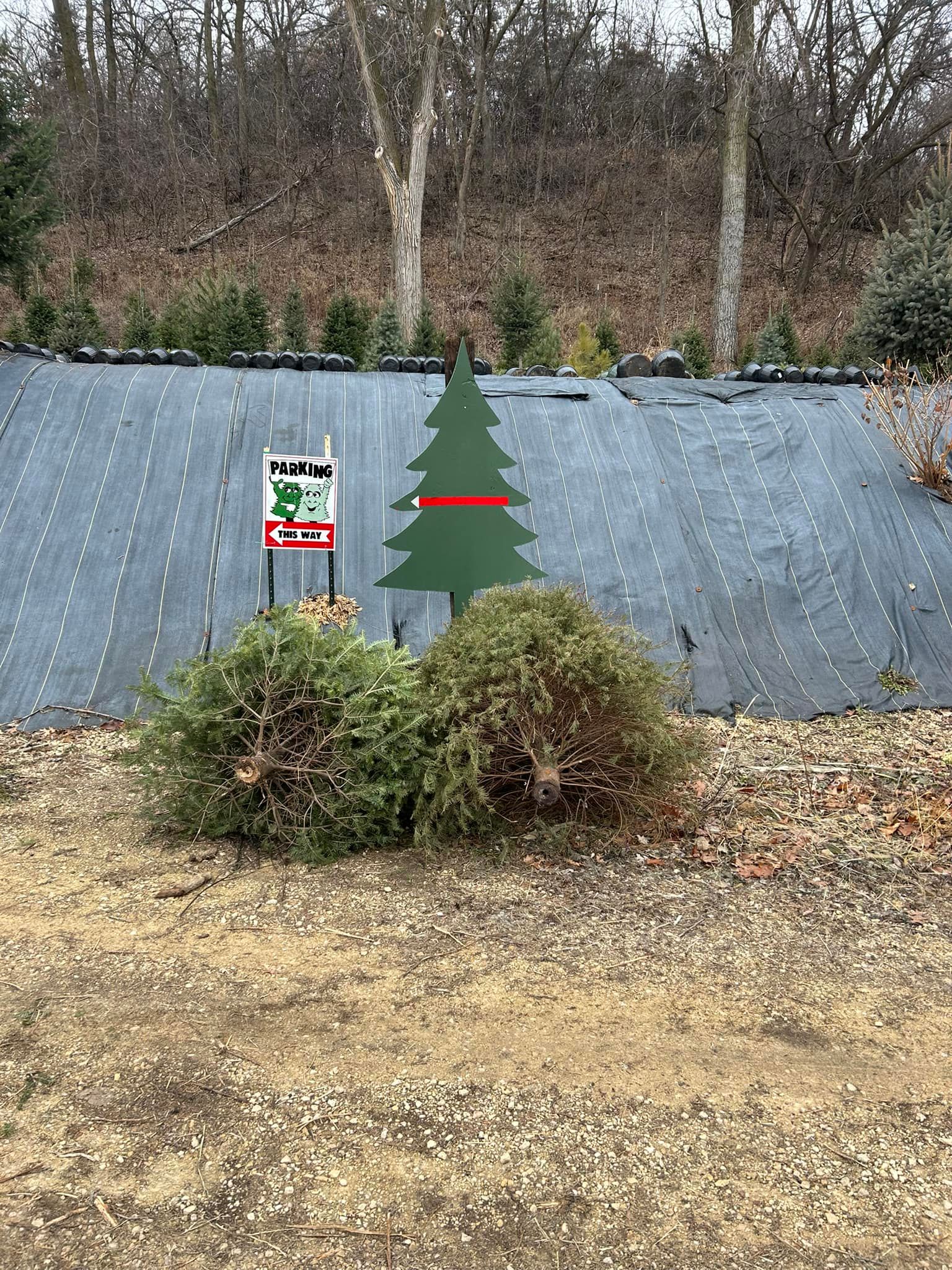  for Spring Creek Evergreens in Red Wing, MN