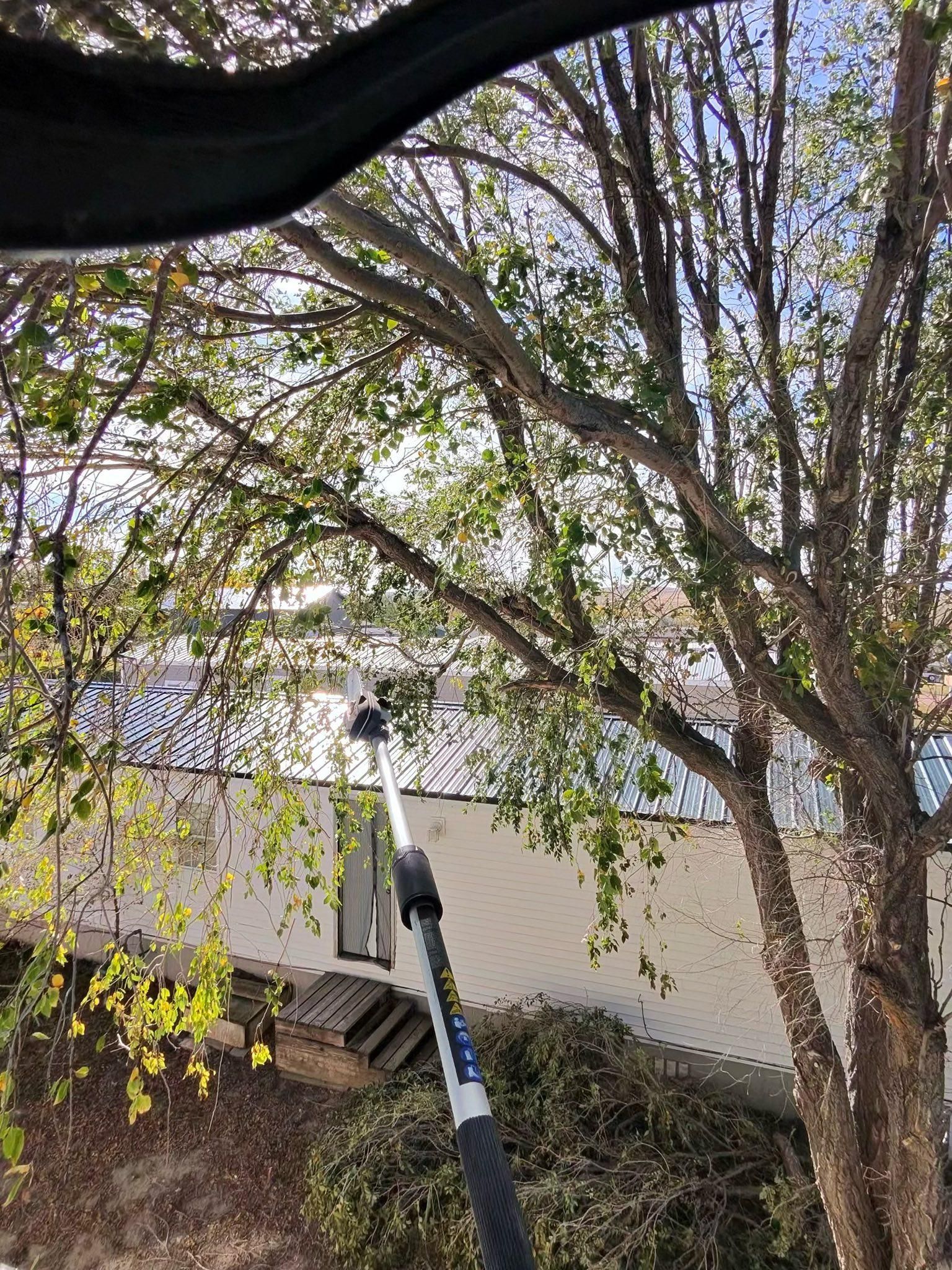  for Elevated Tree Care in Gillette, WY