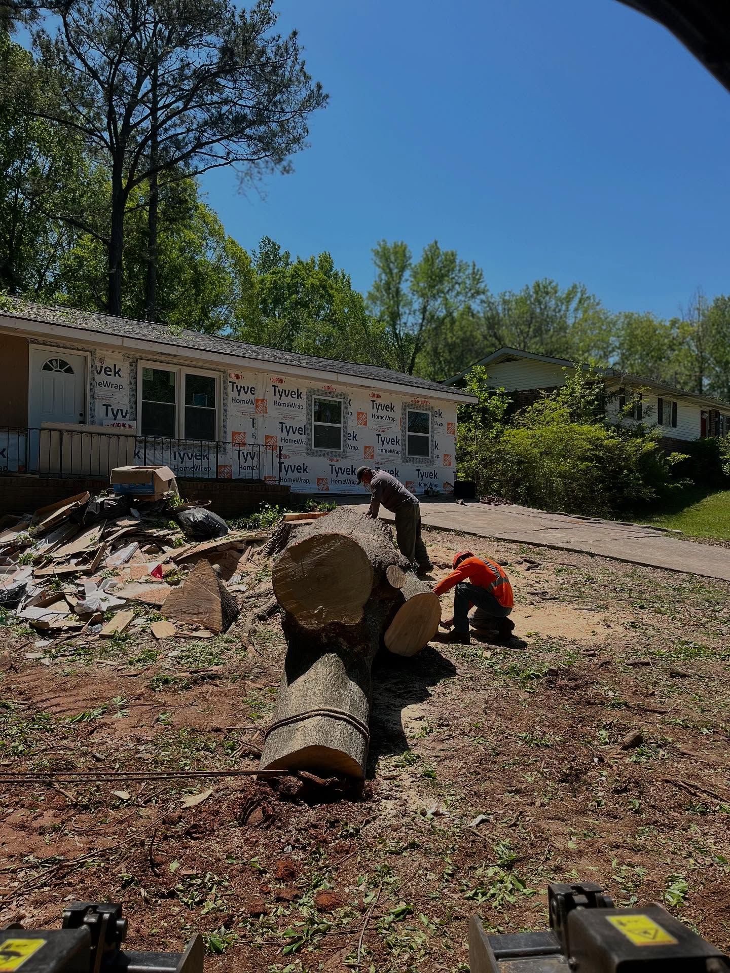 Tree Removal for J&M Stump Grinders LLC in Douglasville, GA
