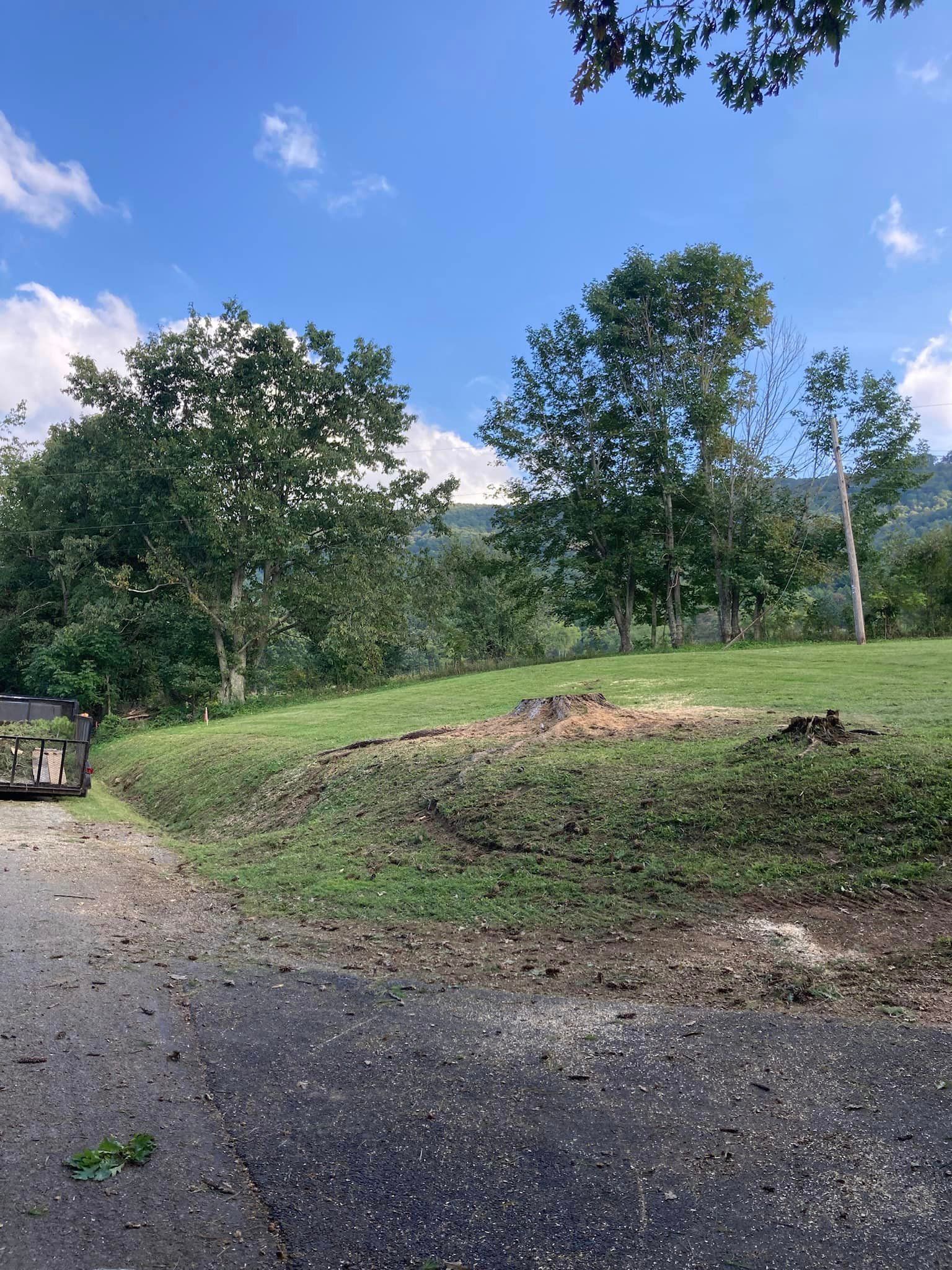 All Photos for NRV Tree Pro, LLC in Narrows, VA