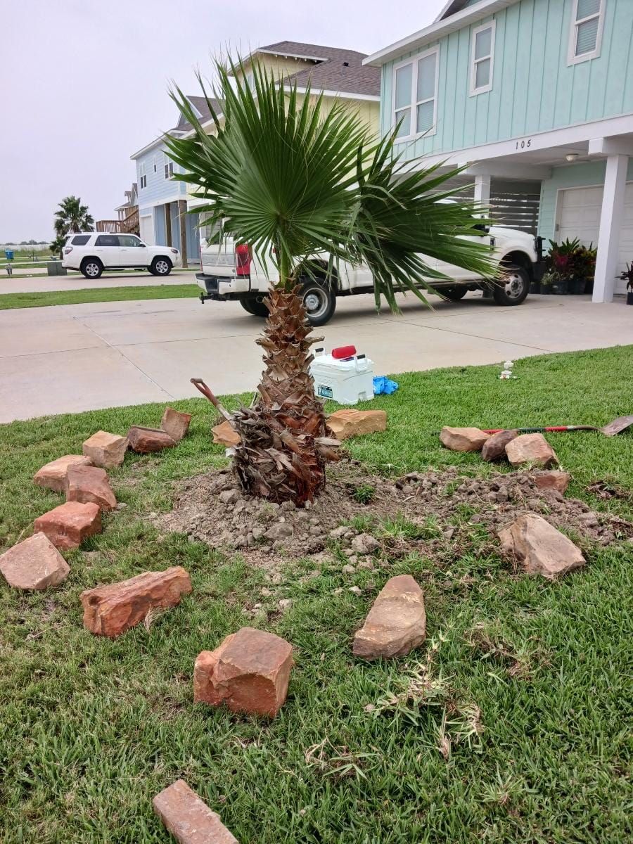  for CRM Palm & Landscaping in Rockport, TX