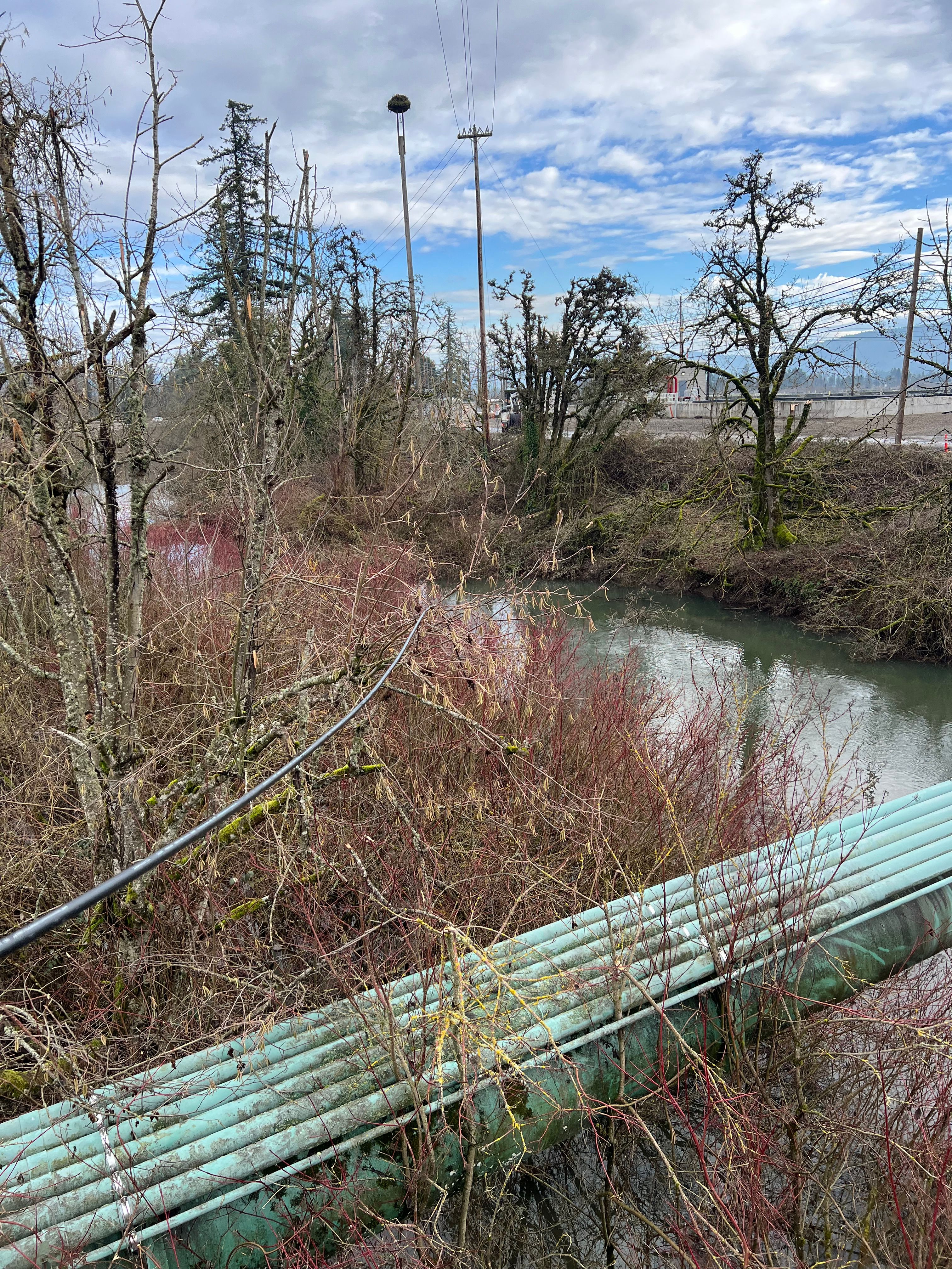  for Hammons Construction LLC in Eugene, OR