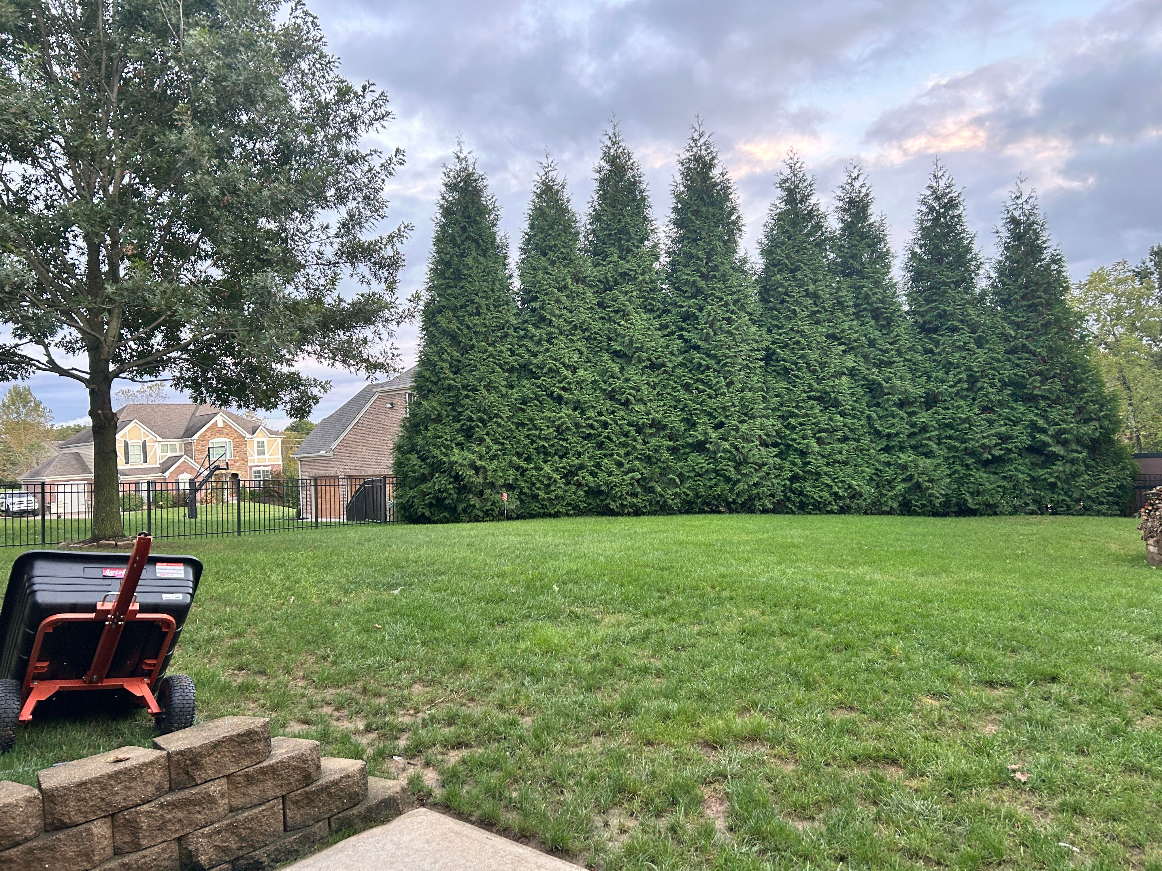  for Terra Steel Creations in Independence, KY