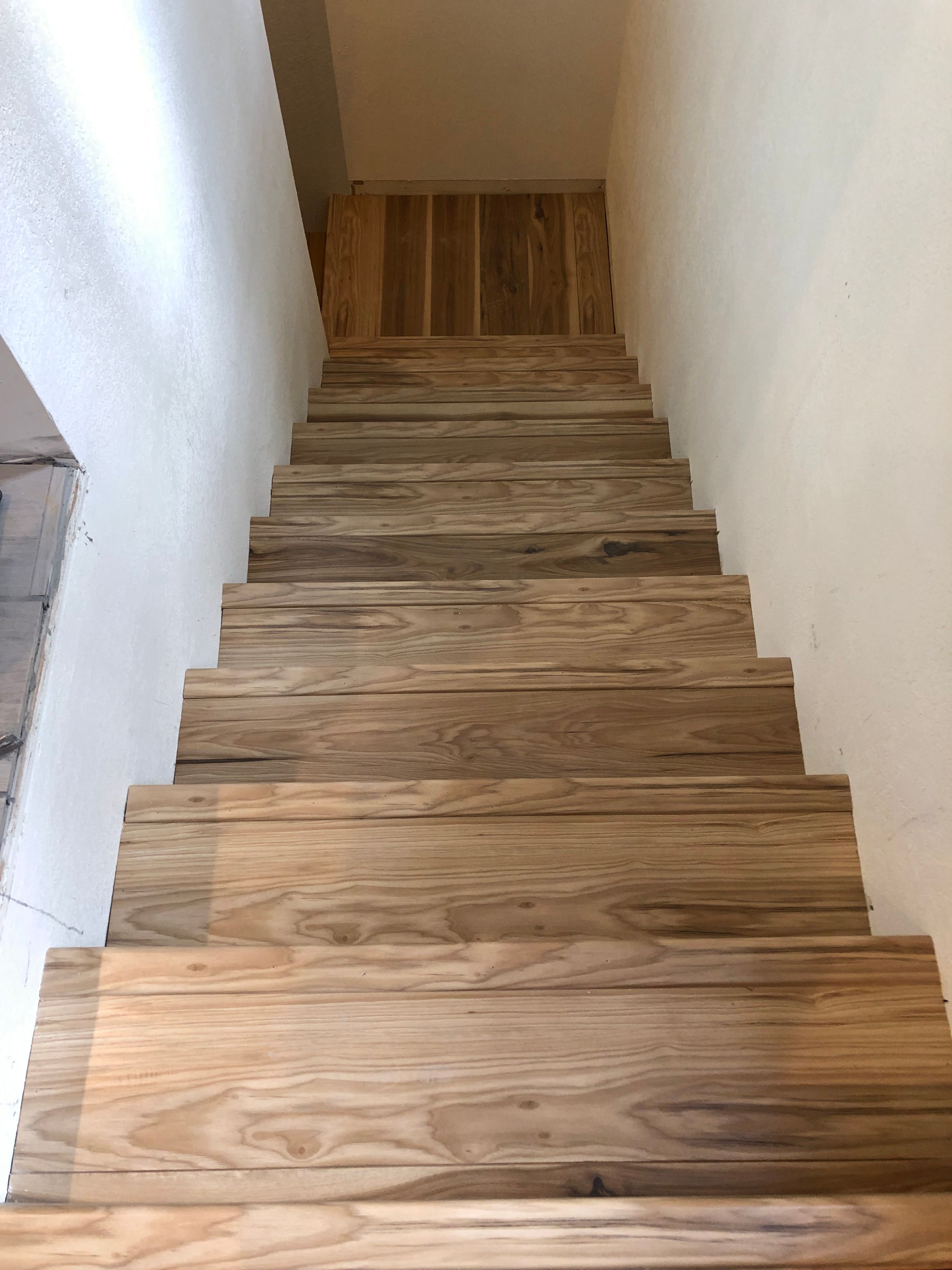  for Obed-Edom Construction in Broomfield County, CO