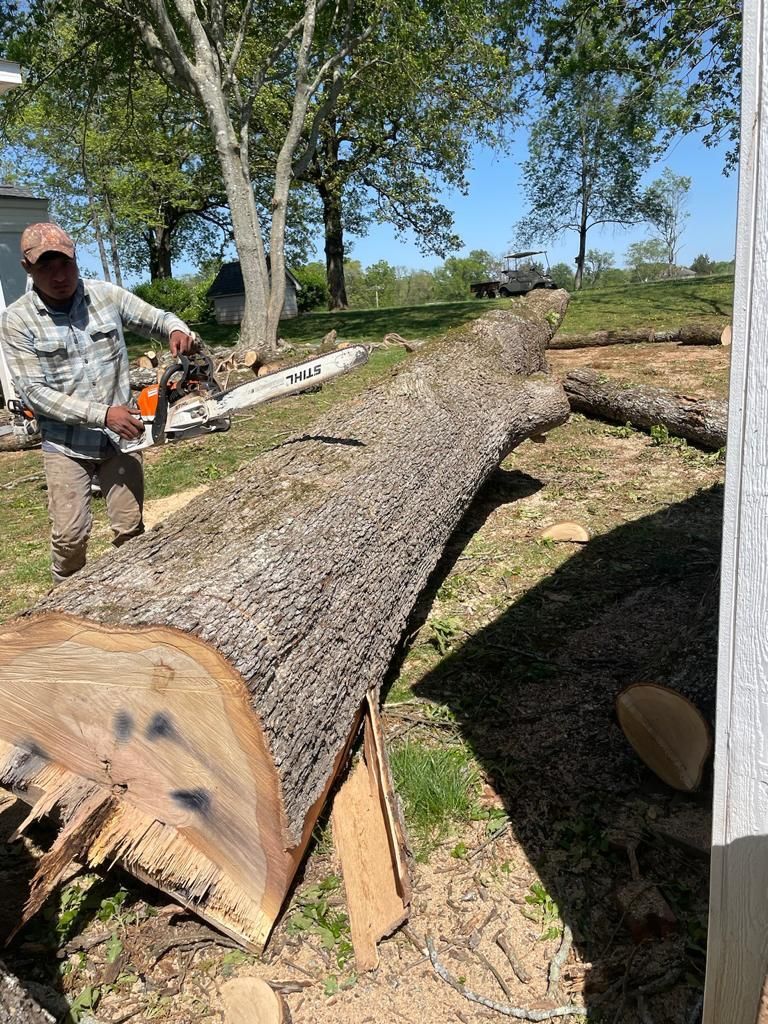 Tree Removal for Rosales Landscaping LLC in Lake Gaston, North Carolina