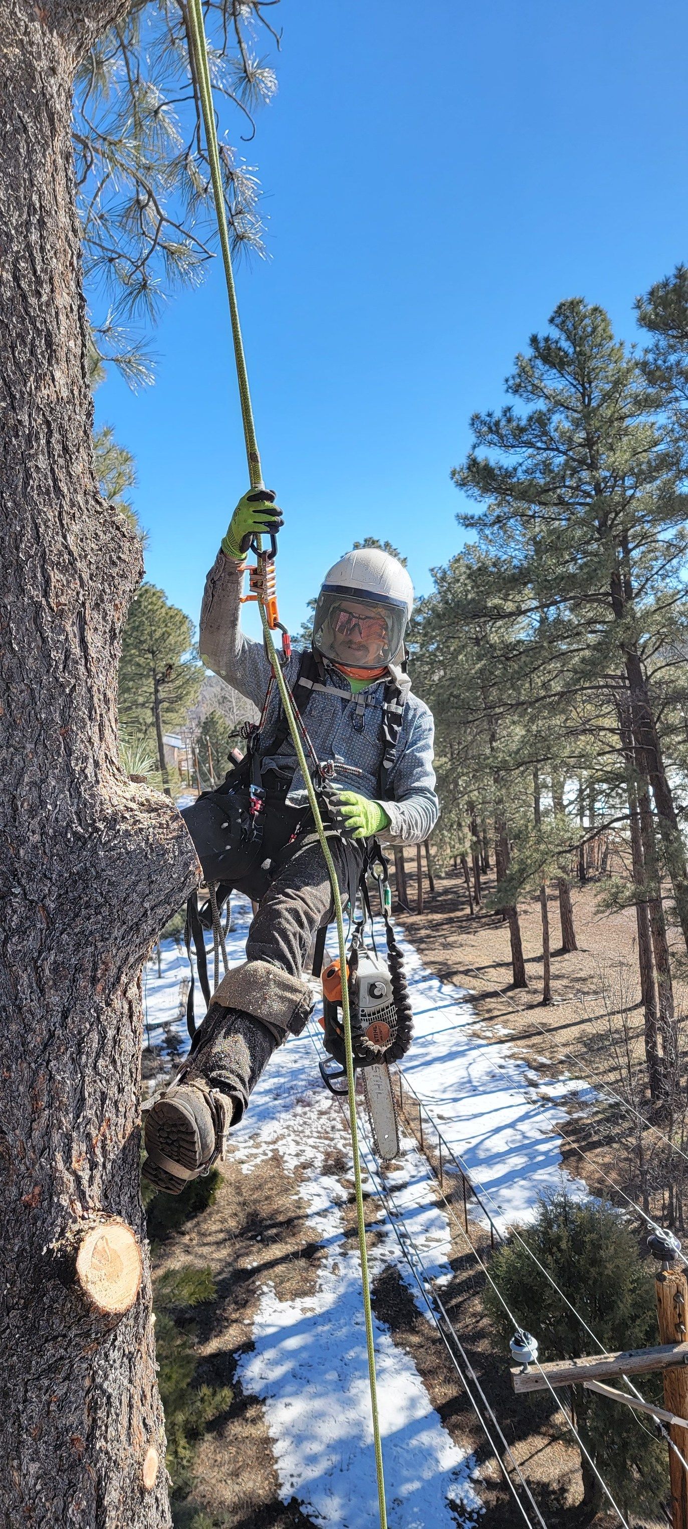 for StockPro Tree Specialists in Show Low, AZ