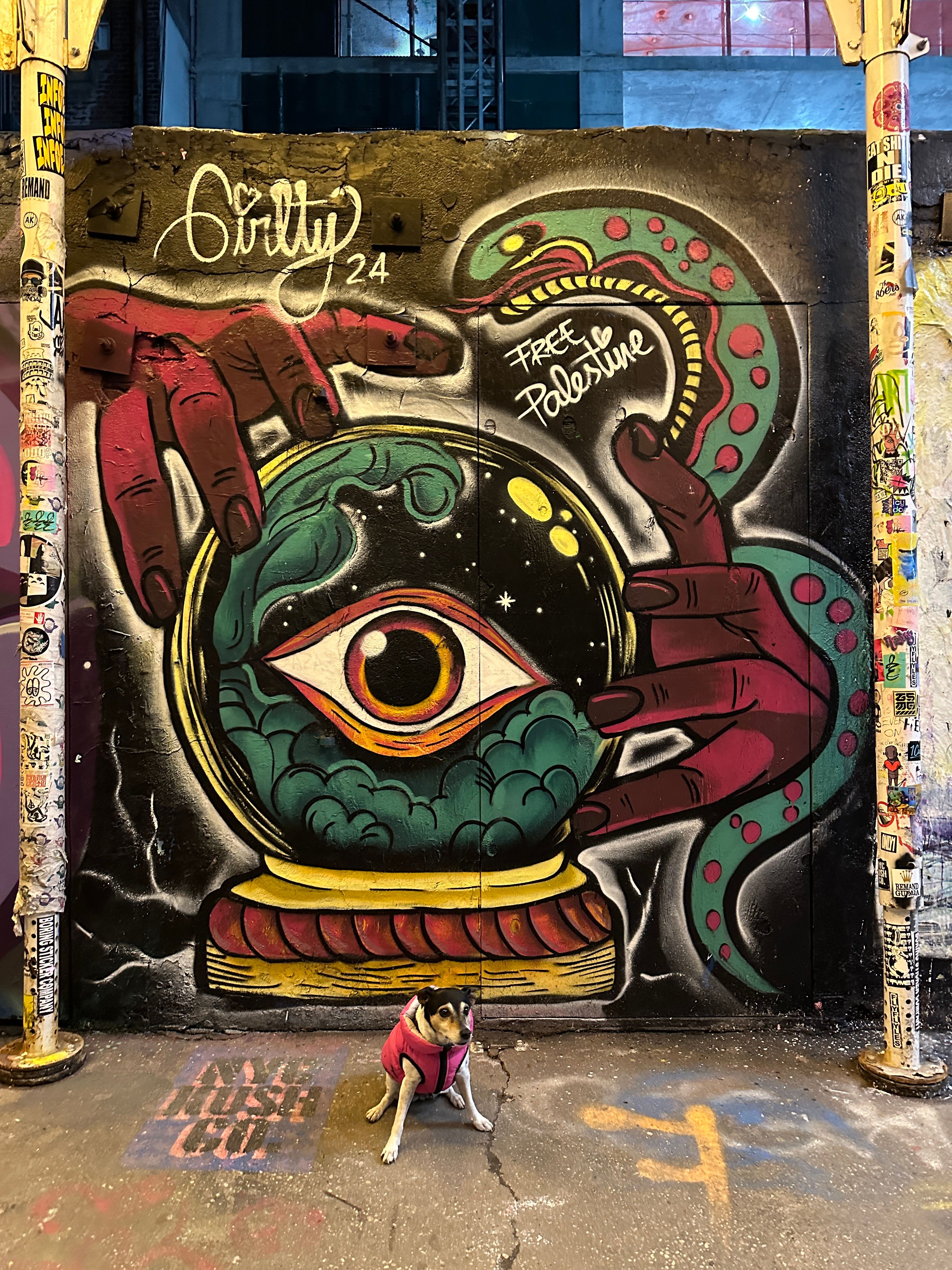  for ANAEME in New York, NY