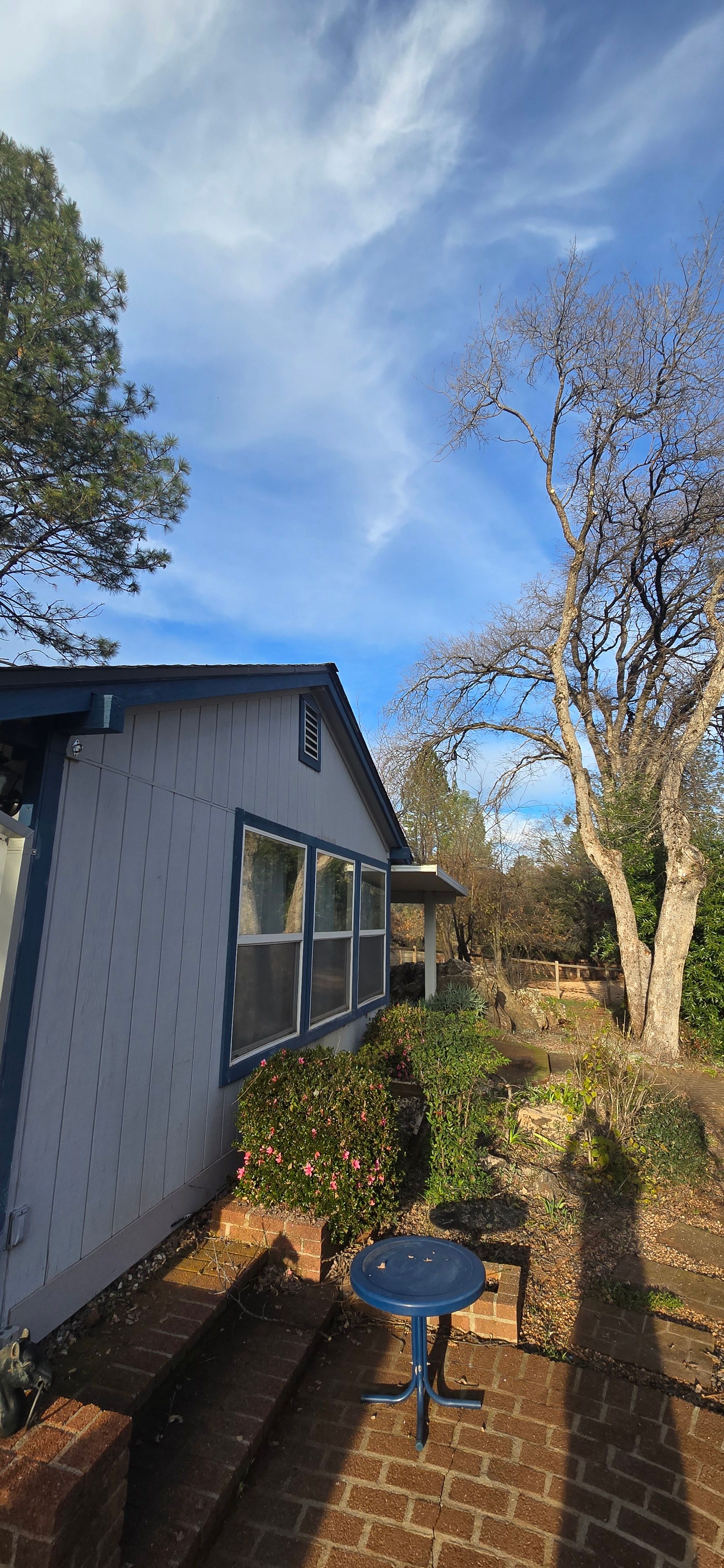  for George Staddan's Professional Tree Care in Placerville, CA