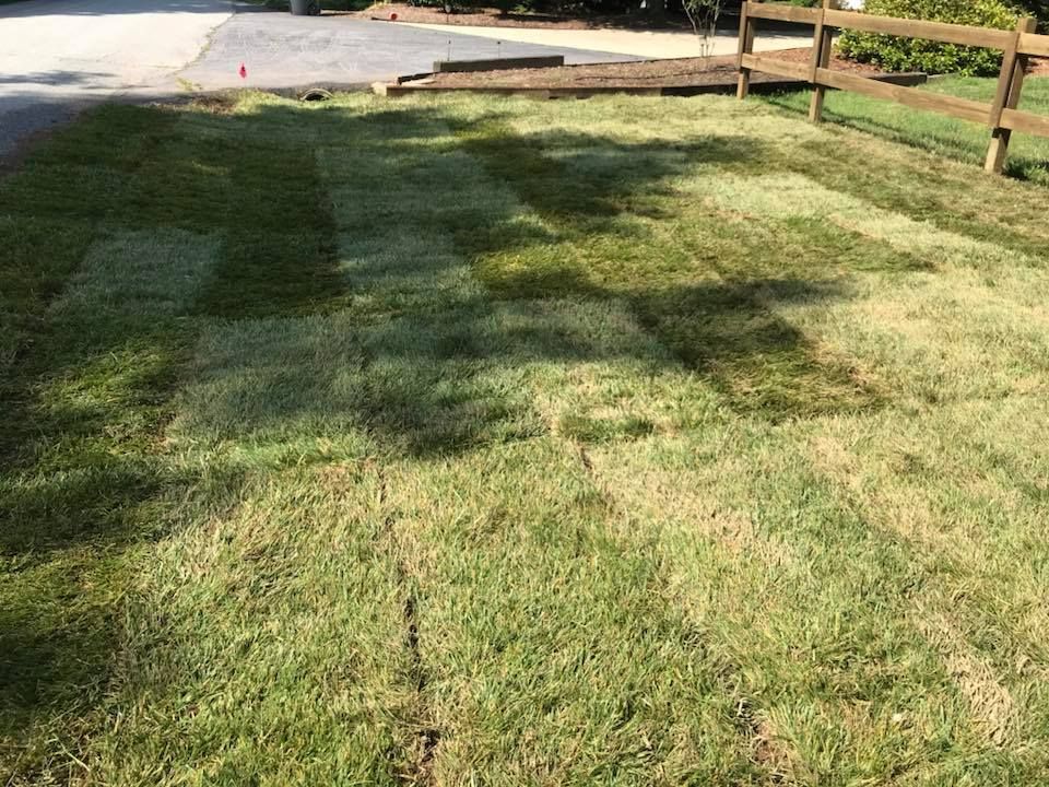  for Rescue Grading & Landscaping in Marietta, SC