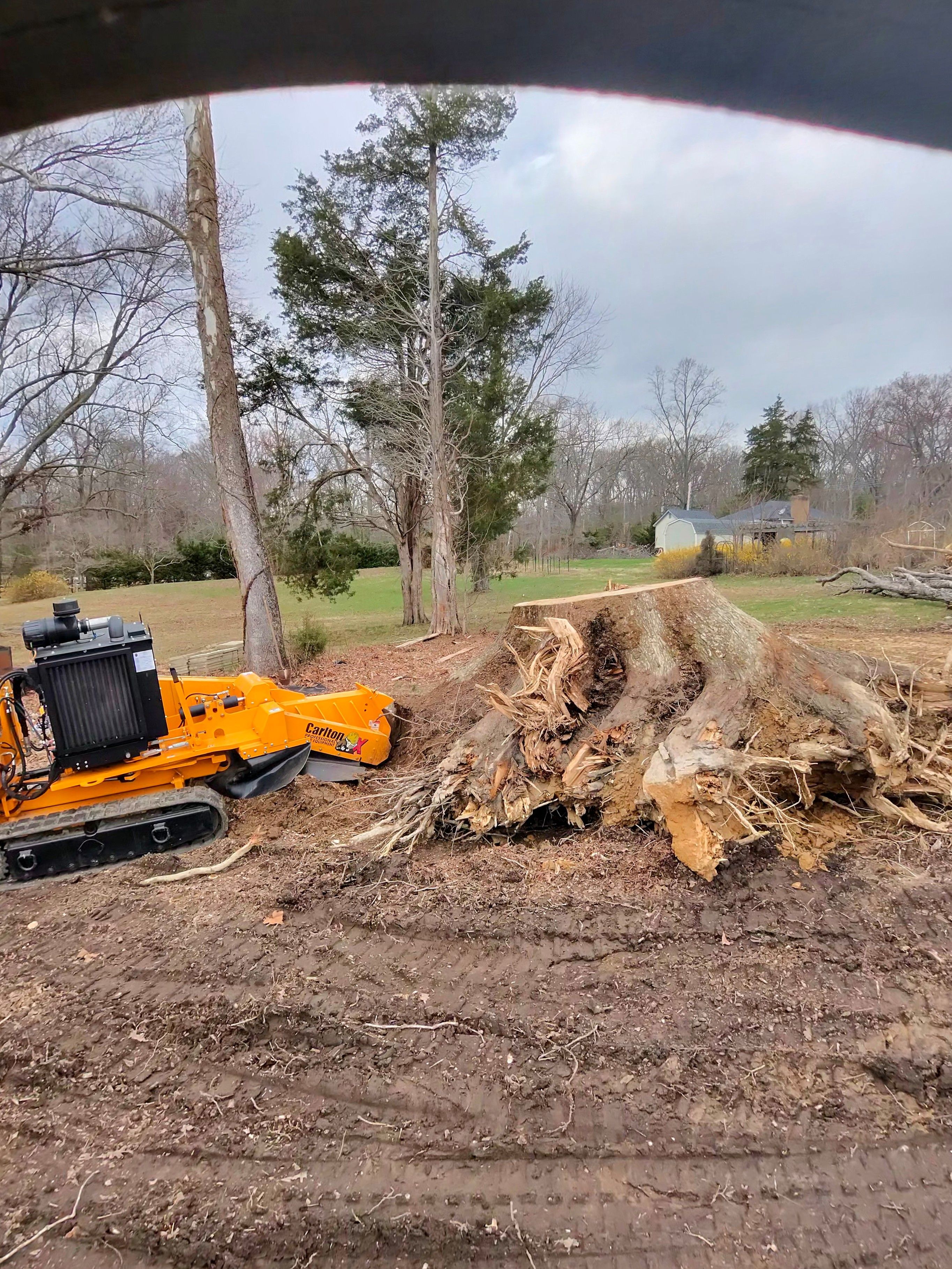  for Darbie's Tree Service in Newburg,  MD