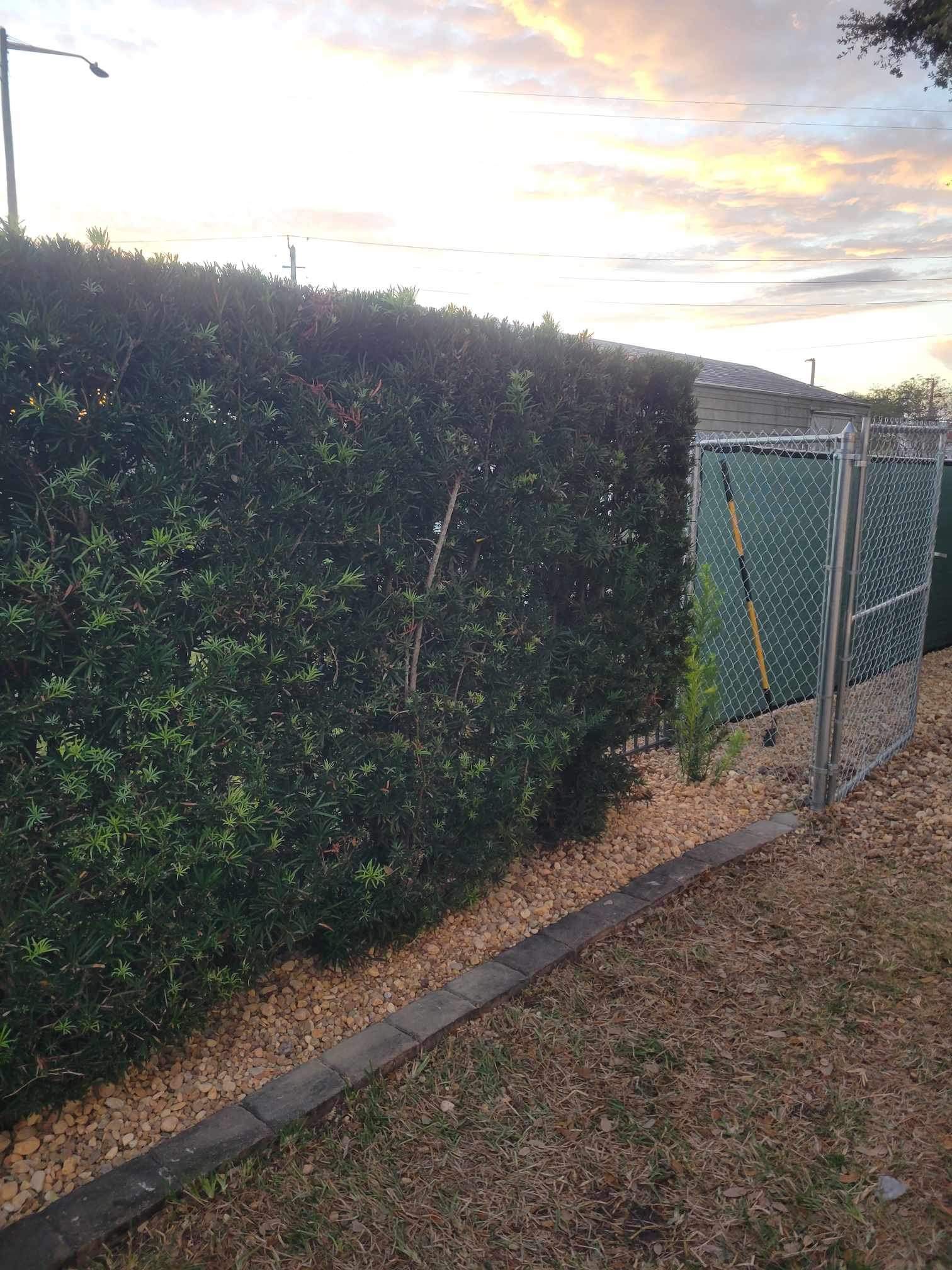  for Space Coast Property Maintenance and Management LLC in Melbourne, FL