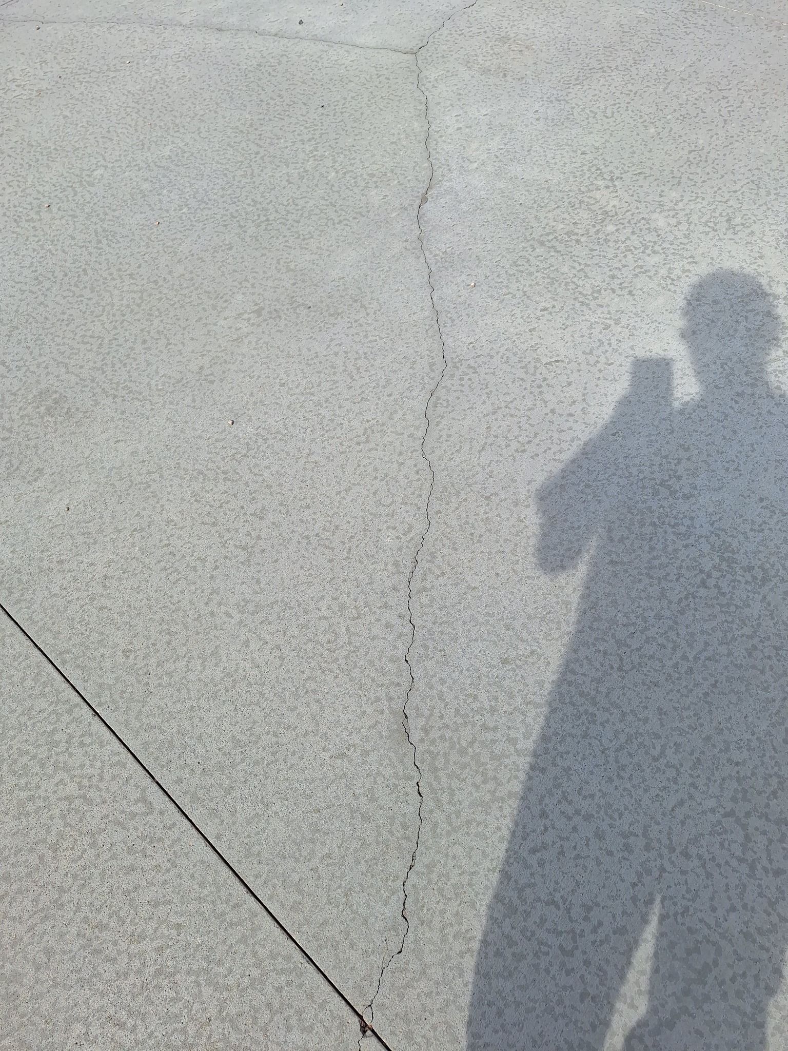 for Rising Force Concrete Contractors LLC in Cheyenne, WY