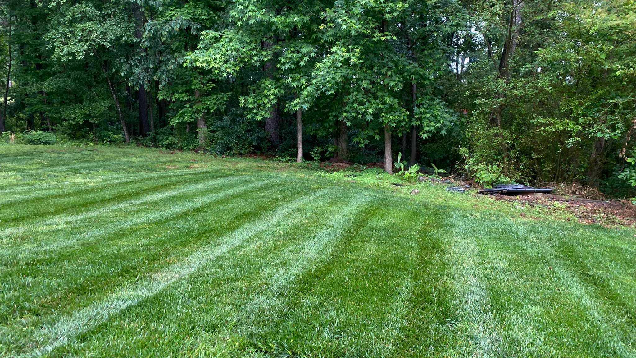  for Castillo’s Lawn Care in Monroe, GA
