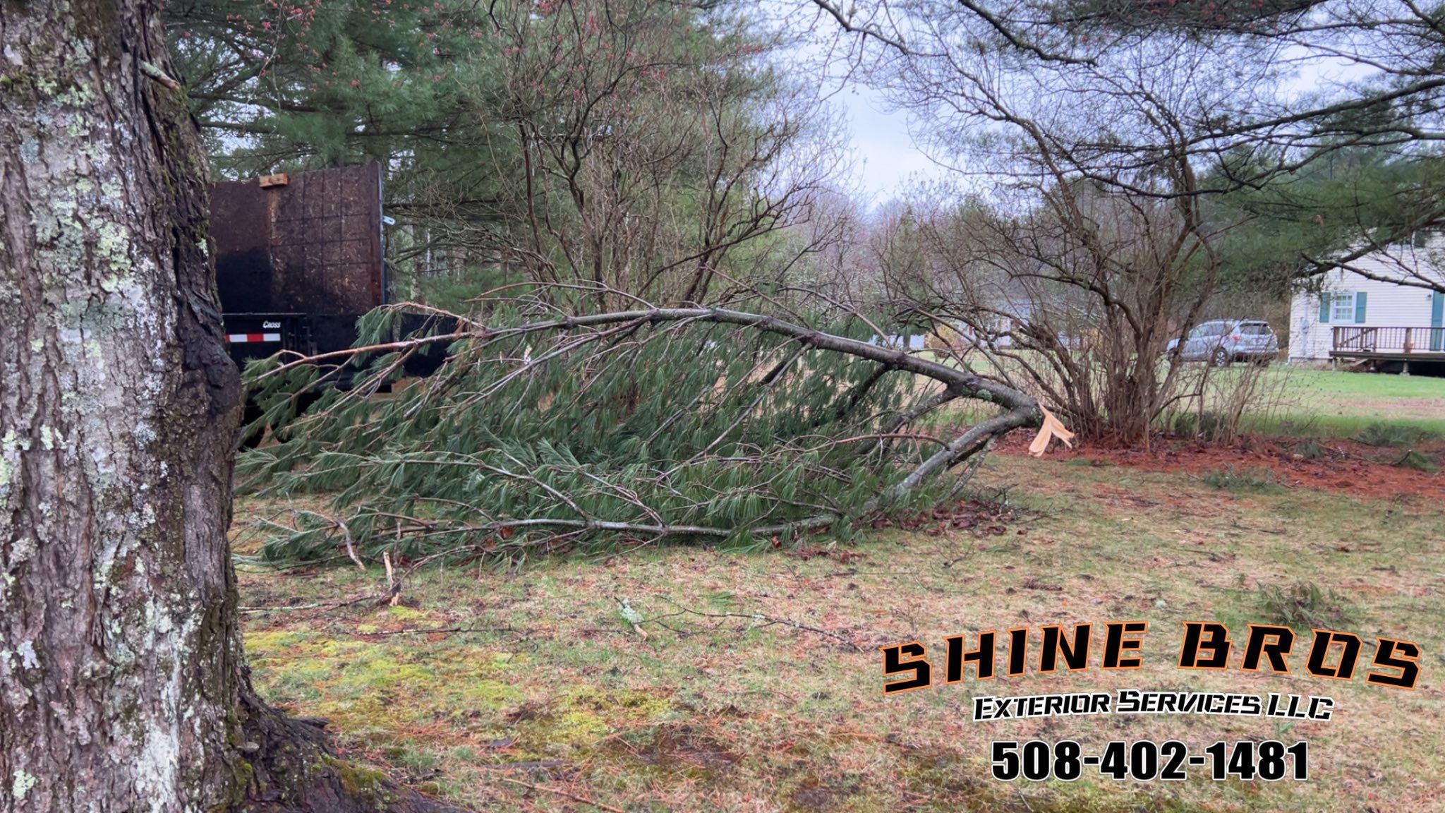  for ShineBros in Rehoboth, MA