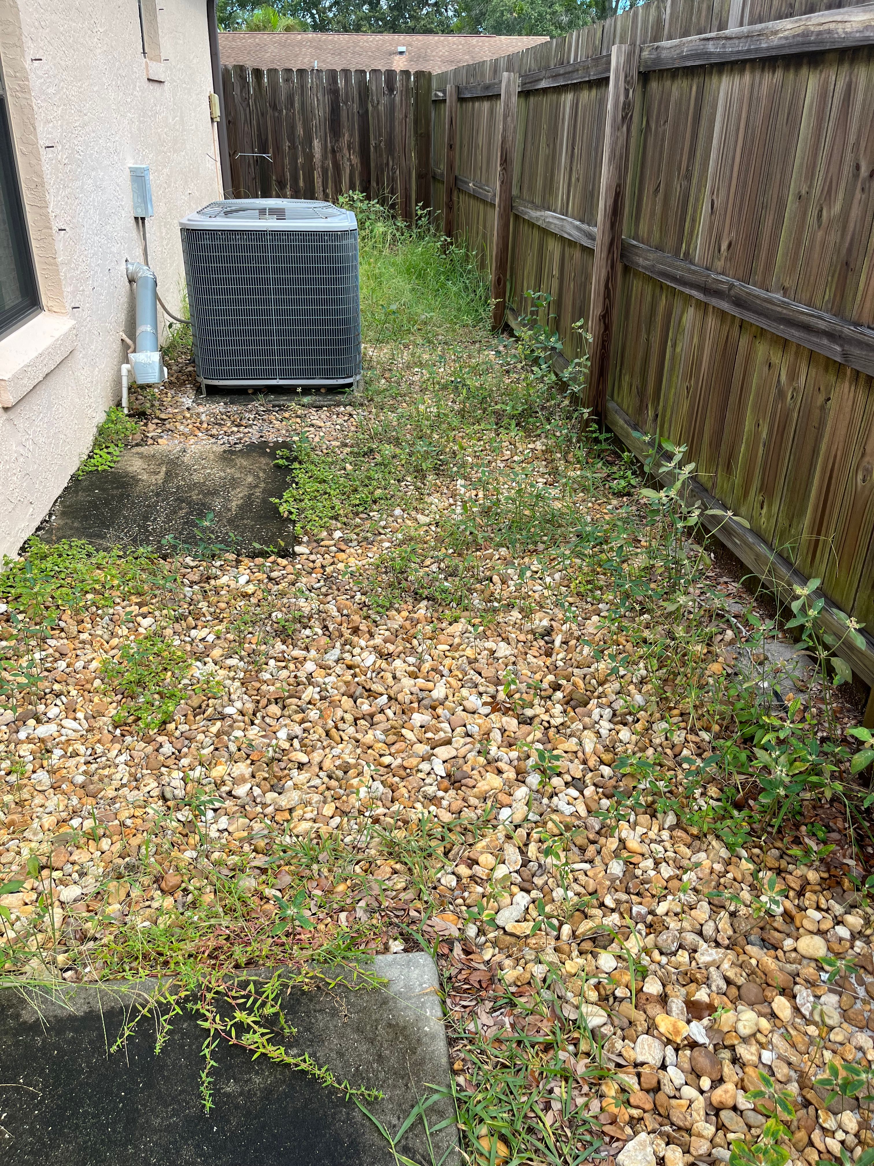  for Space Coast Property Maintenance and Management LLC in Melbourne, FL