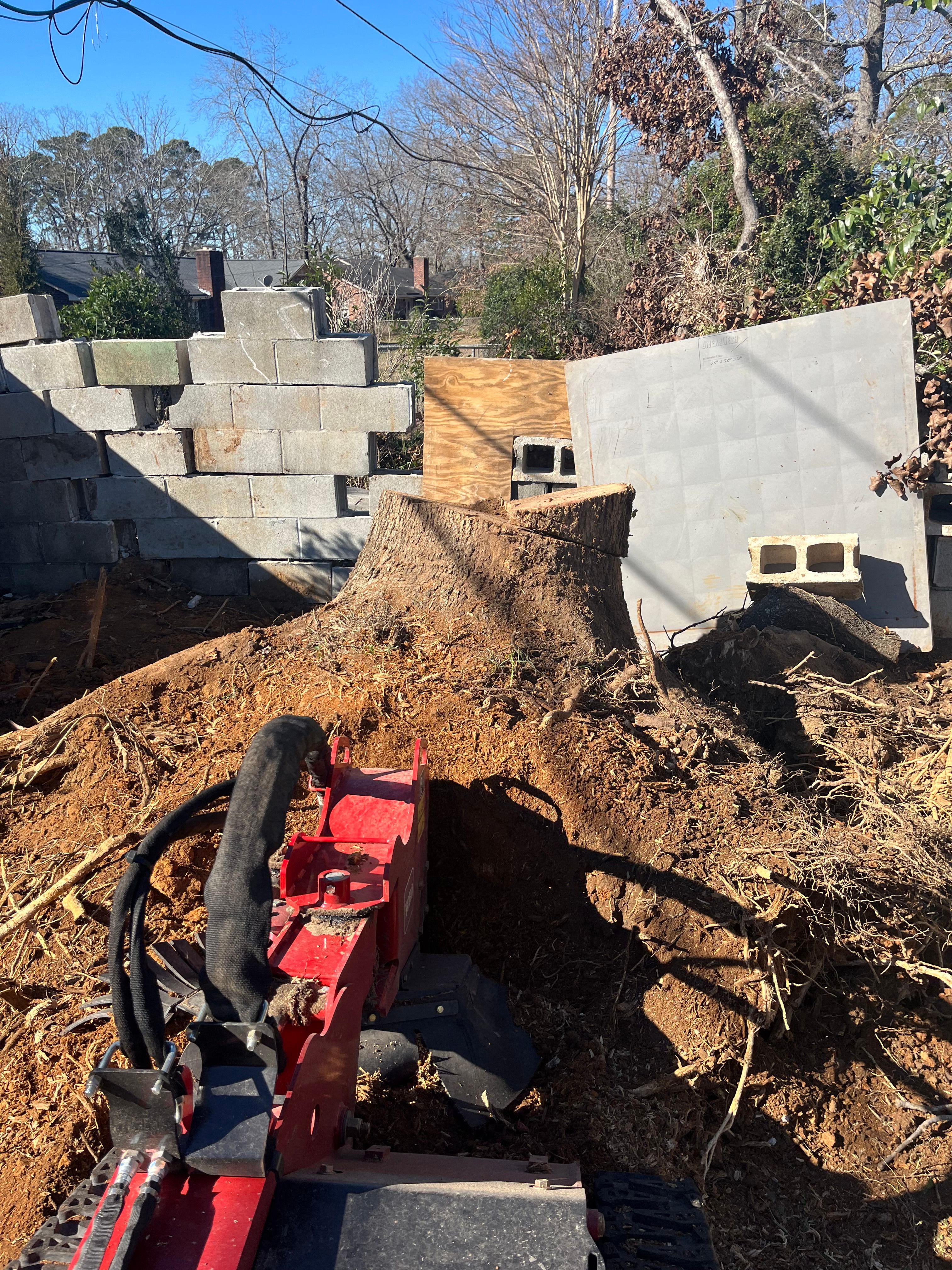 Stump Grinding for Otis Lee Stump Grinding LLC in Elgin, SC