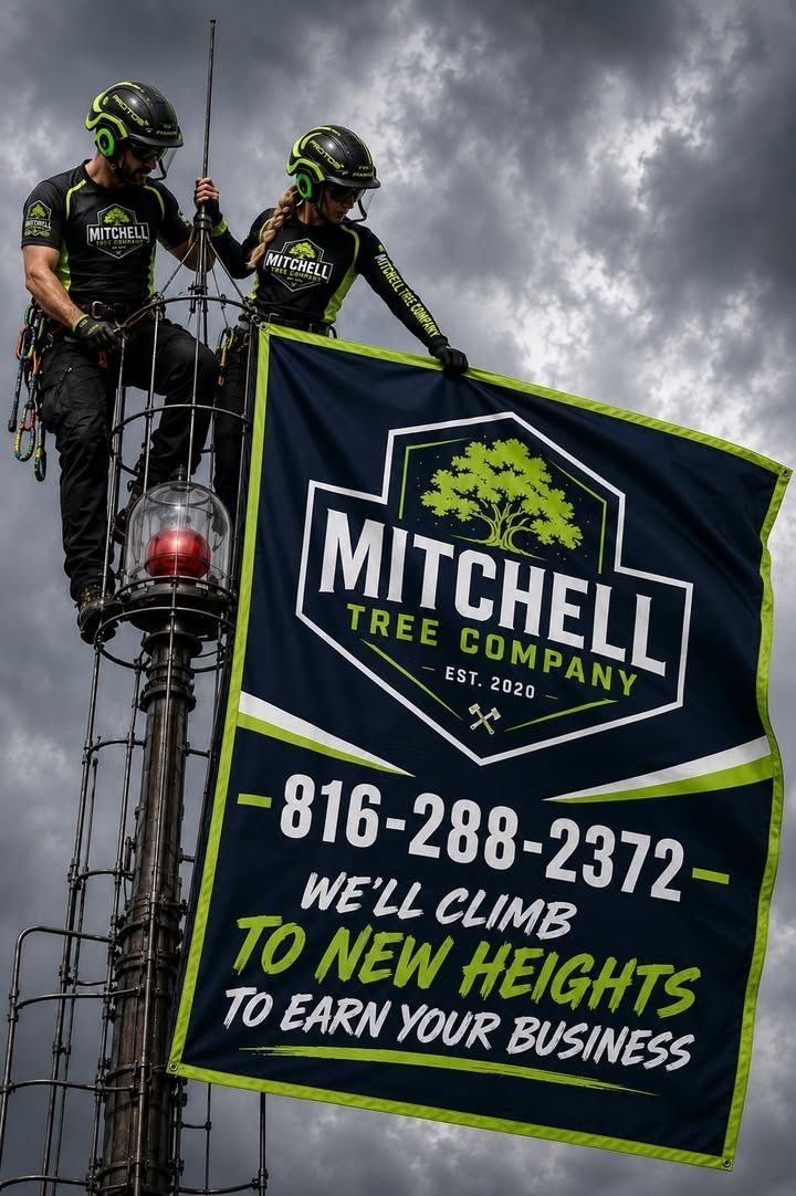 All Photos for Mitchell Tree Company in Lathrop, MO