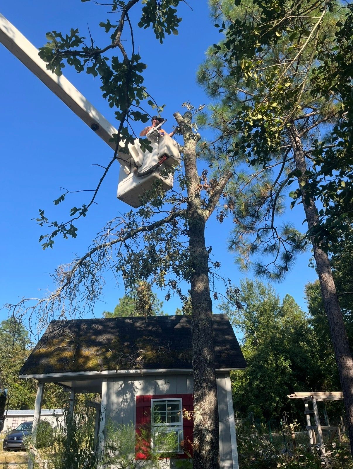  for T N L - Tree and Land Service in Reynolds, GA