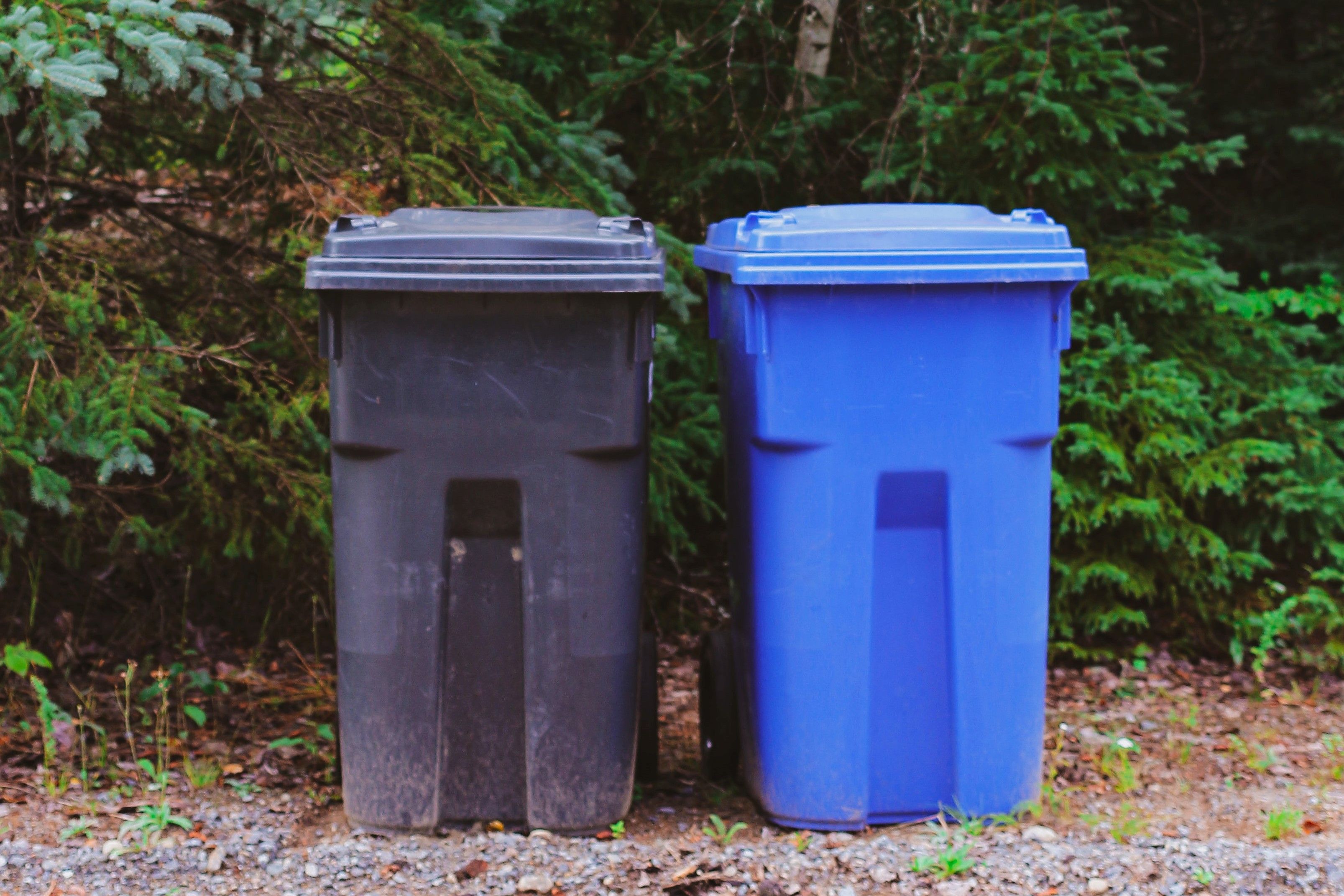  for Warners Tree Solutions in Live Oak, FL